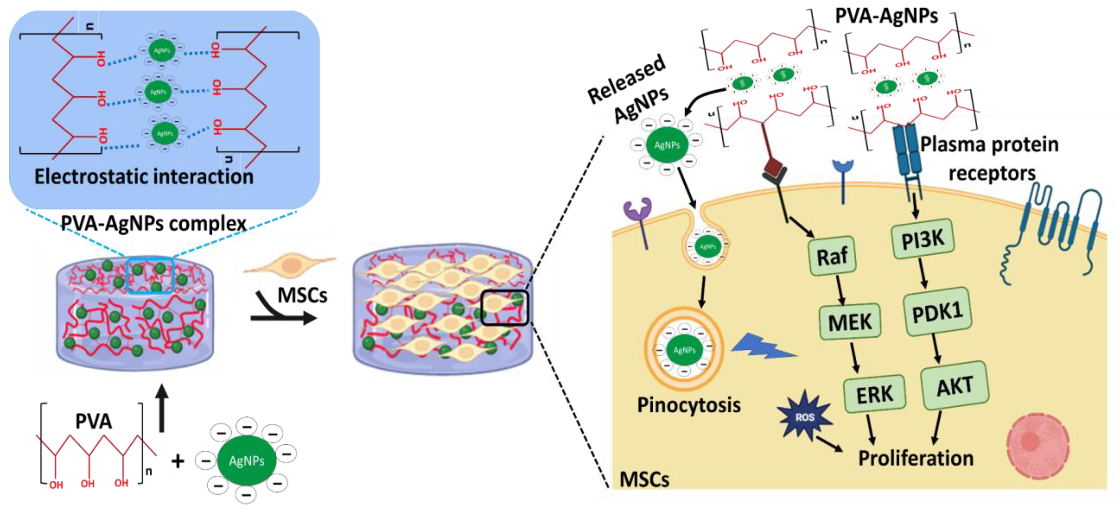Pharmaceutics 15 01843 g010 Pharmaceutics 15 01843 g010