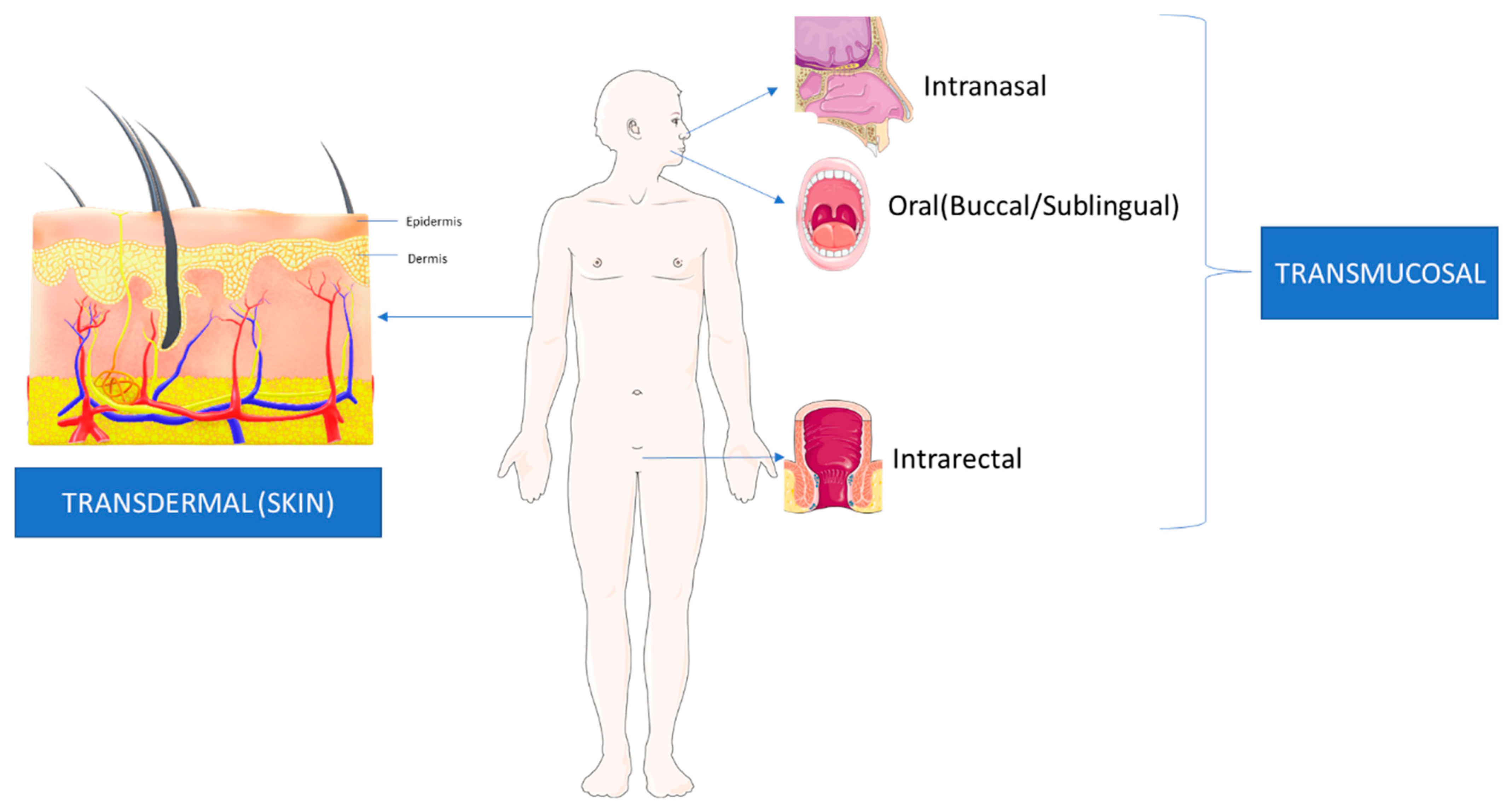 Pharmaceutics 15 01844 g002 Pharmaceutics 15 01844 g002