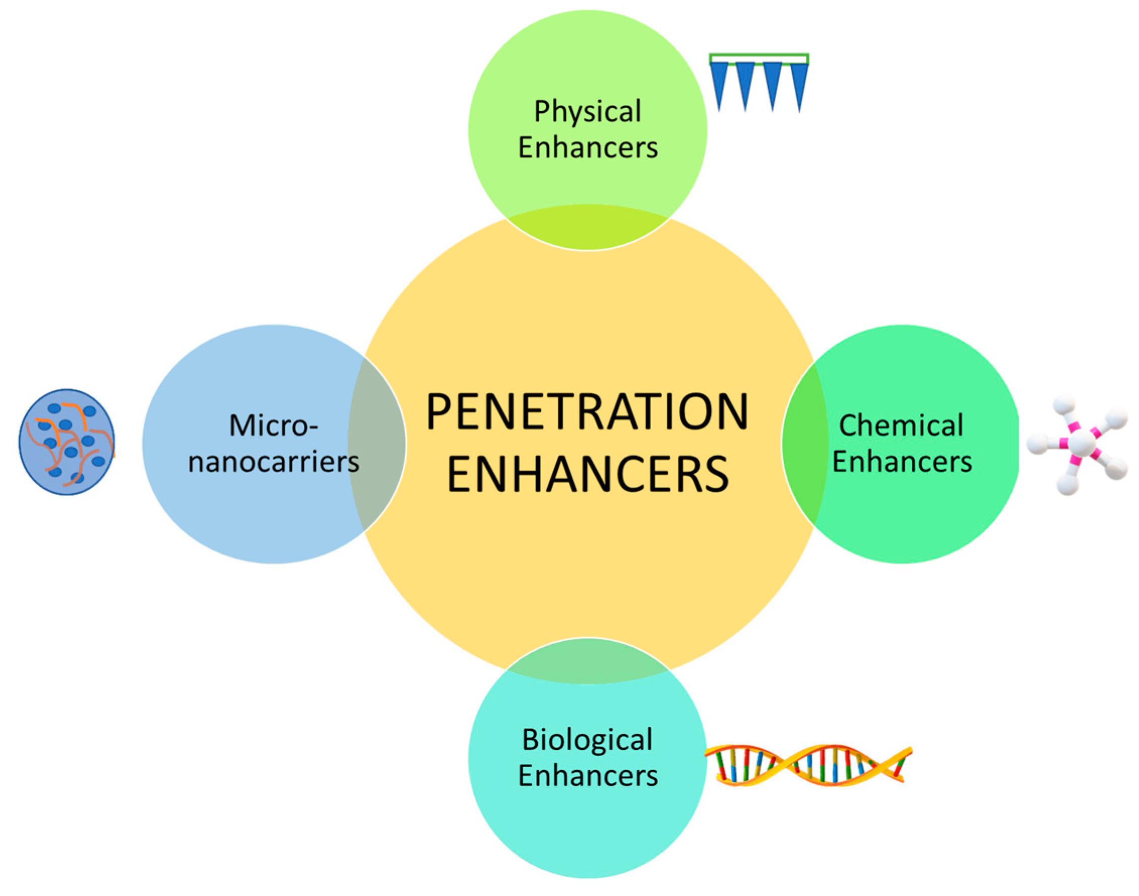 Pharmaceutics 15 01844 g004 Pharmaceutics 15 01844 g004