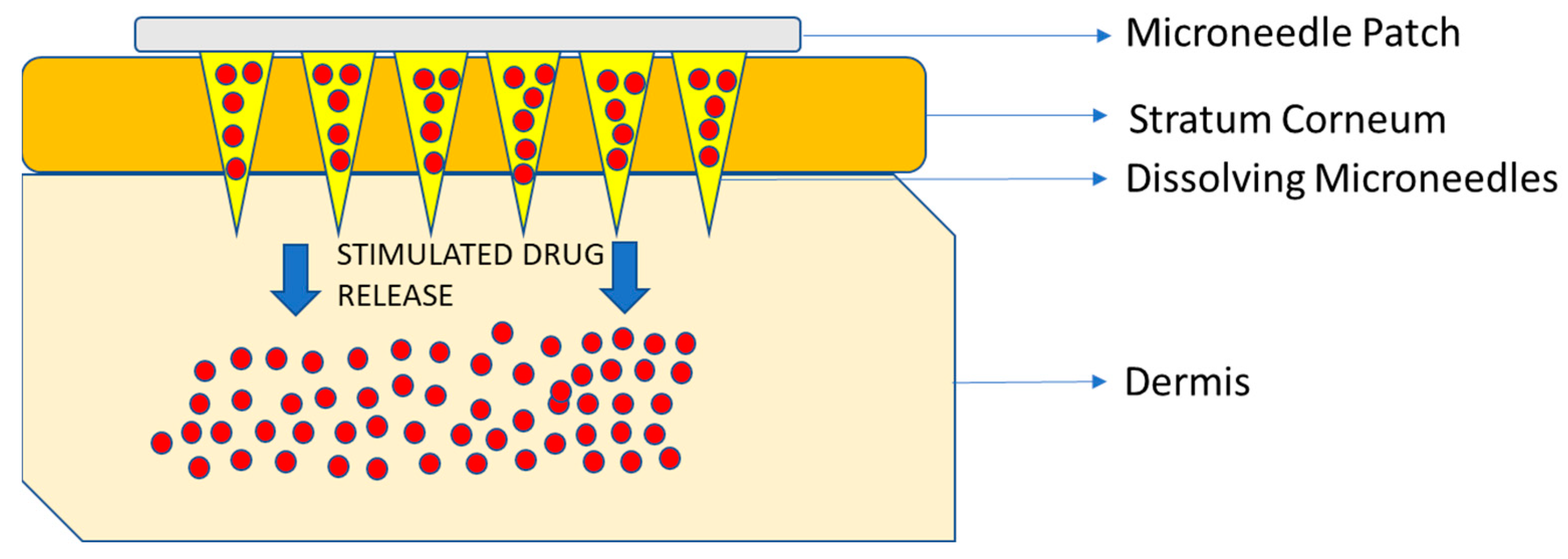 Pharmaceutics 15 01844 g005 Pharmaceutics 15 01844 g005