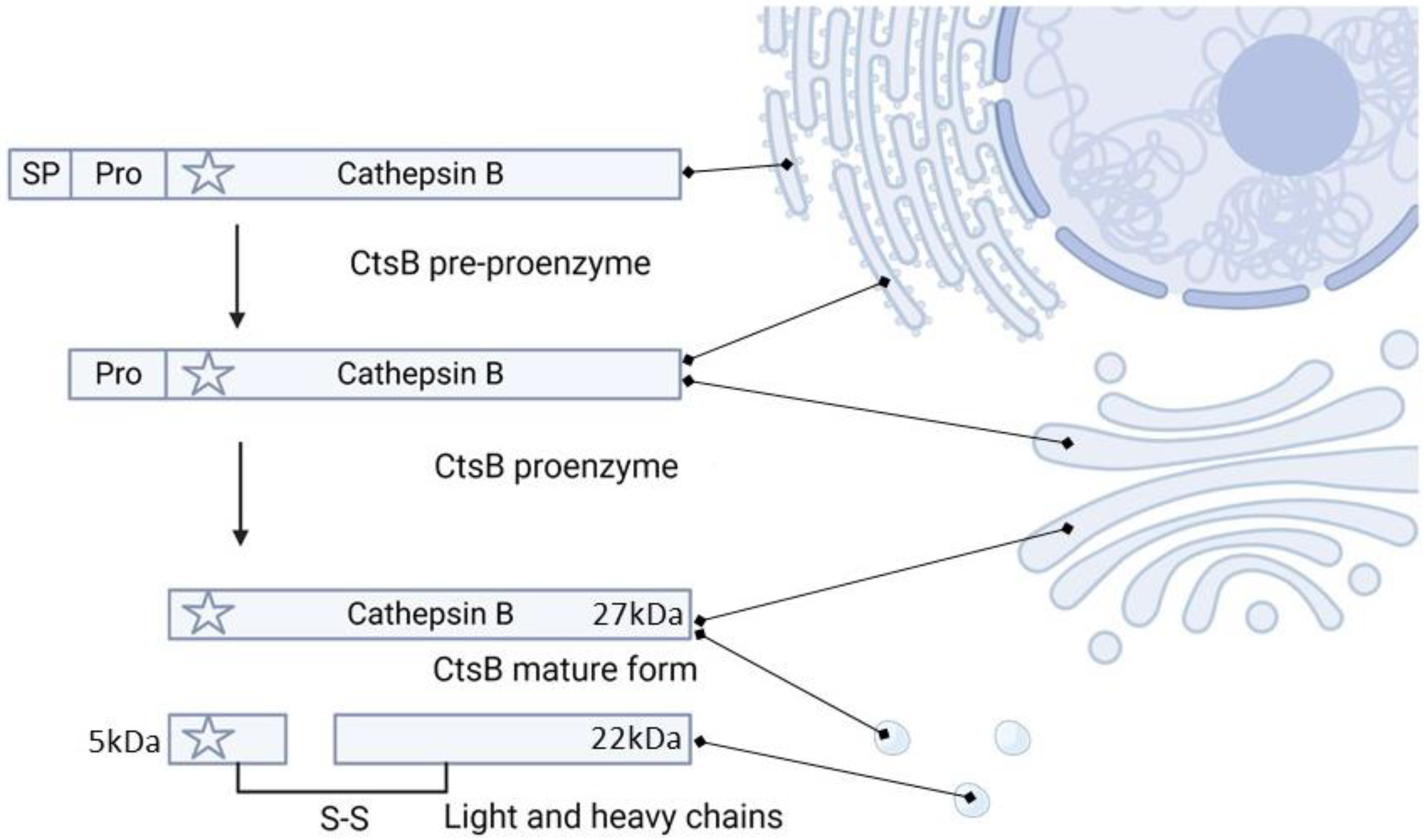 Pharmaceutics 15 01848 g001