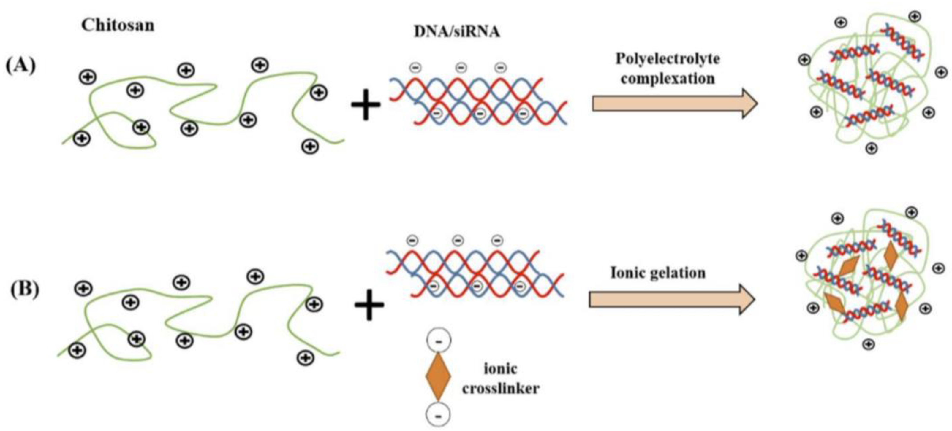 Pharmaceutics 15 01849 g002
