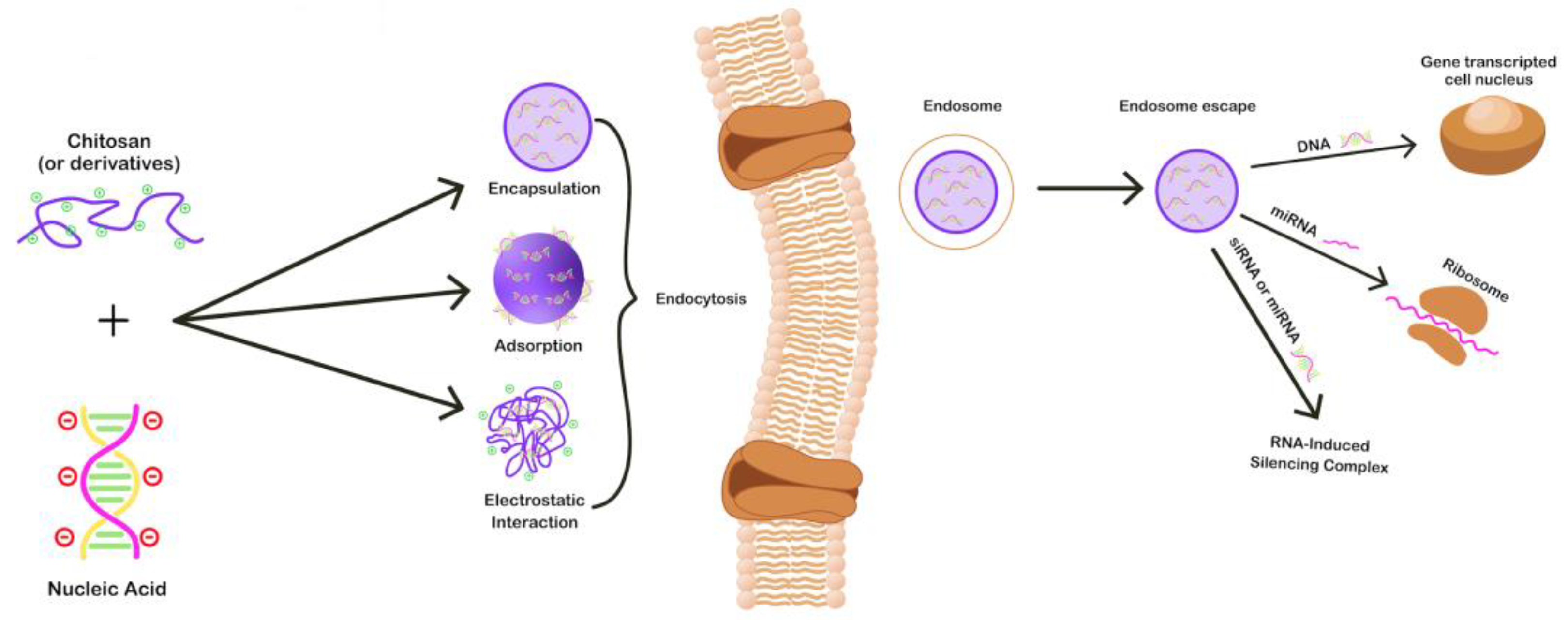Pharmaceutics 15 01849 g004