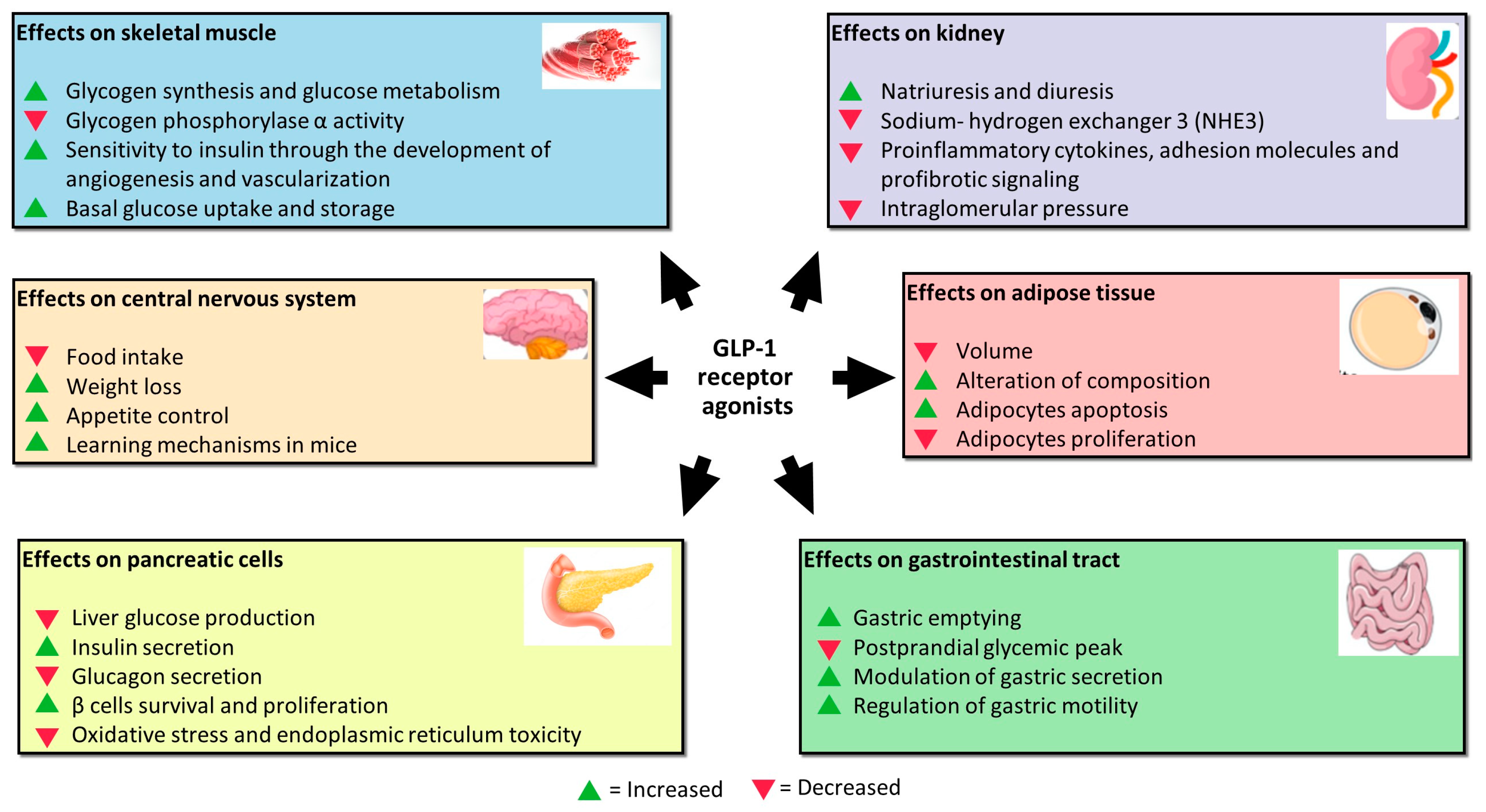 Pharmaceutics 15 01858 g001 Pharmaceutics 15 01858 g001