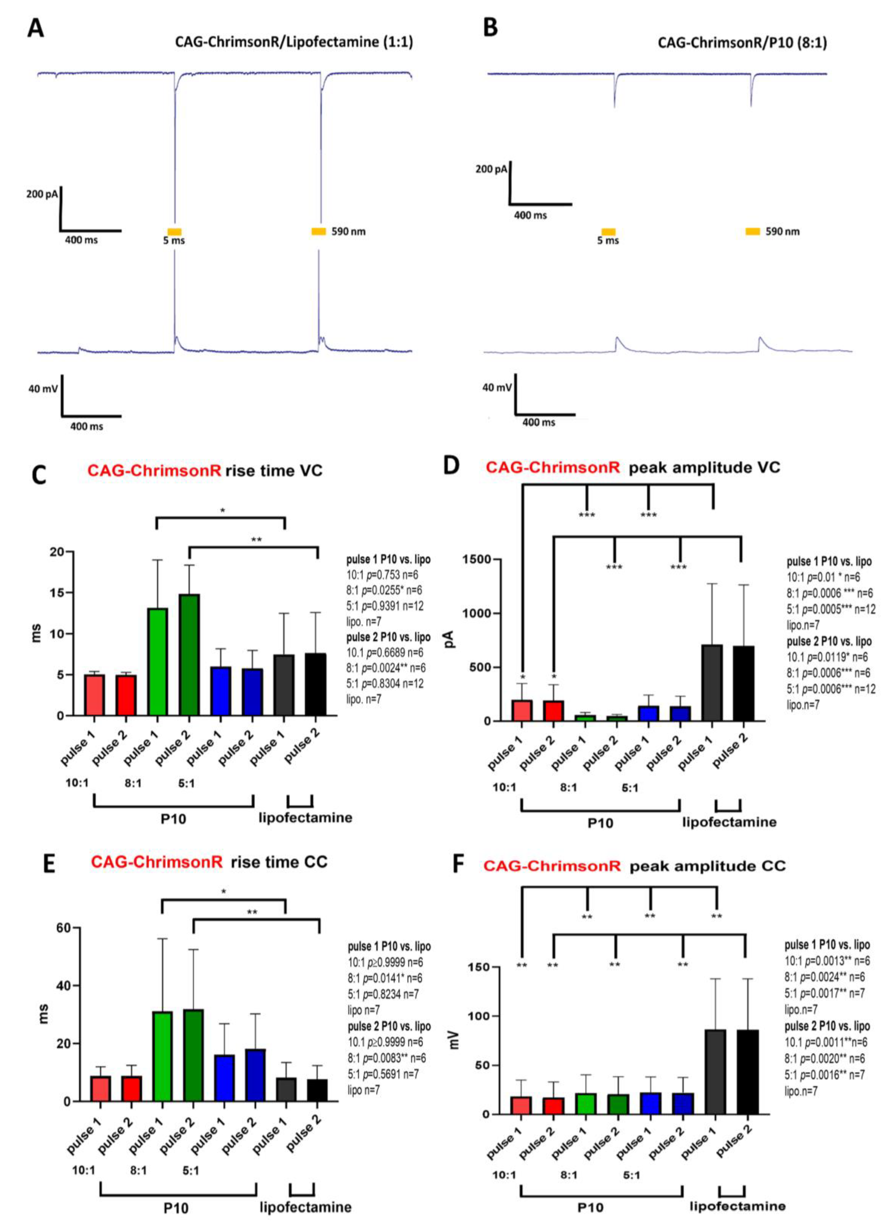 Pharmaceutics 15 01860 g002 Pharmaceutics 15 01860 g002