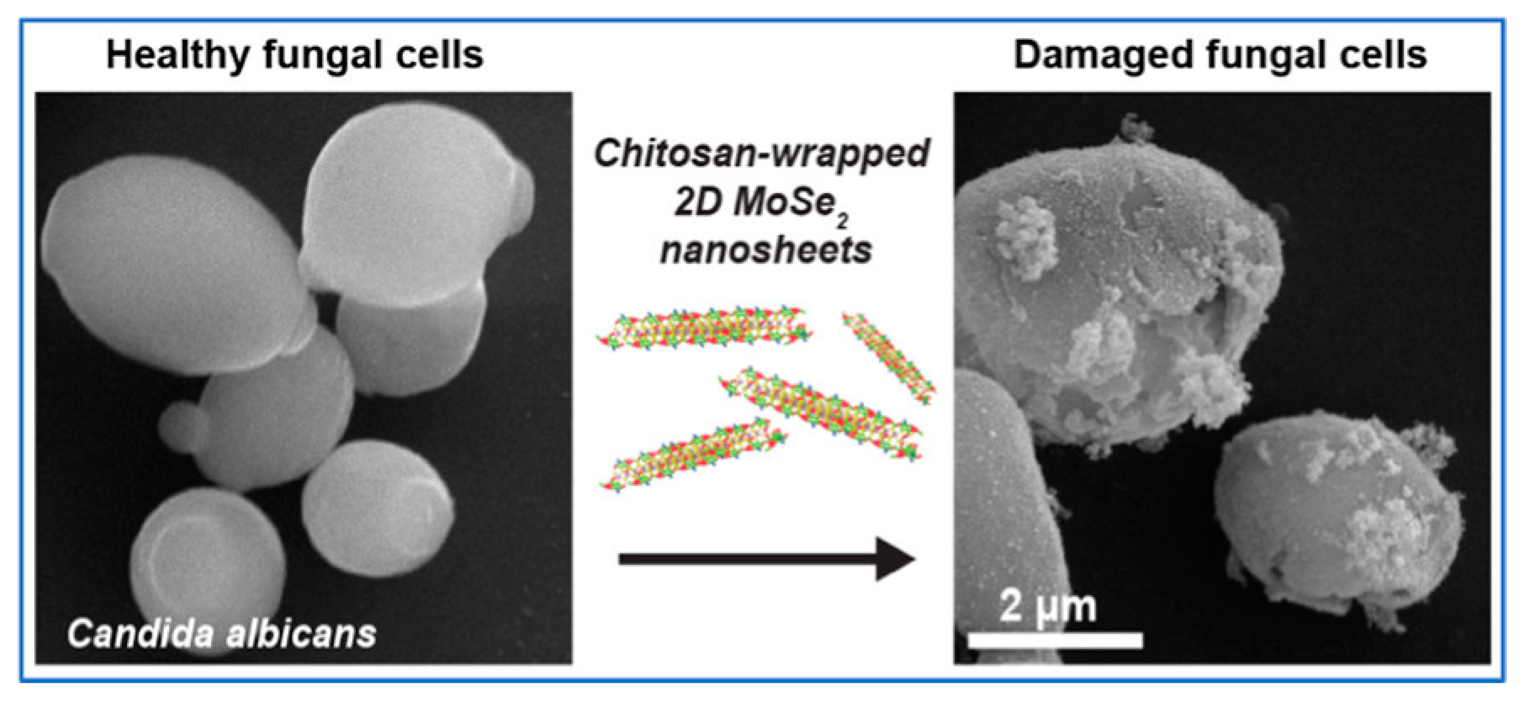 Pharmaceutics 15 01866 g001 Pharmaceutics 15 01866 g001