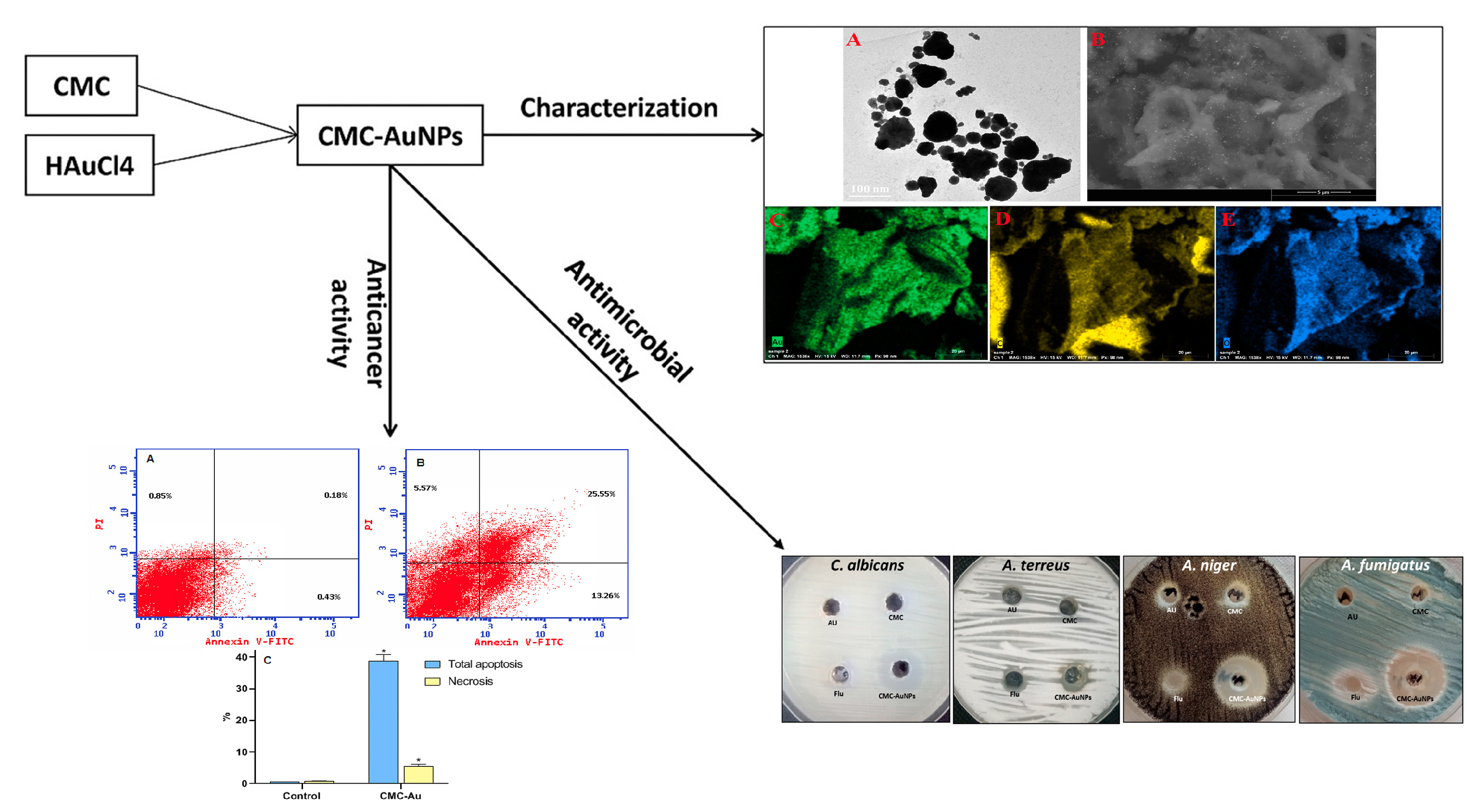 Pharmaceutics 15 01866 g005 Pharmaceutics 15 01866 g005