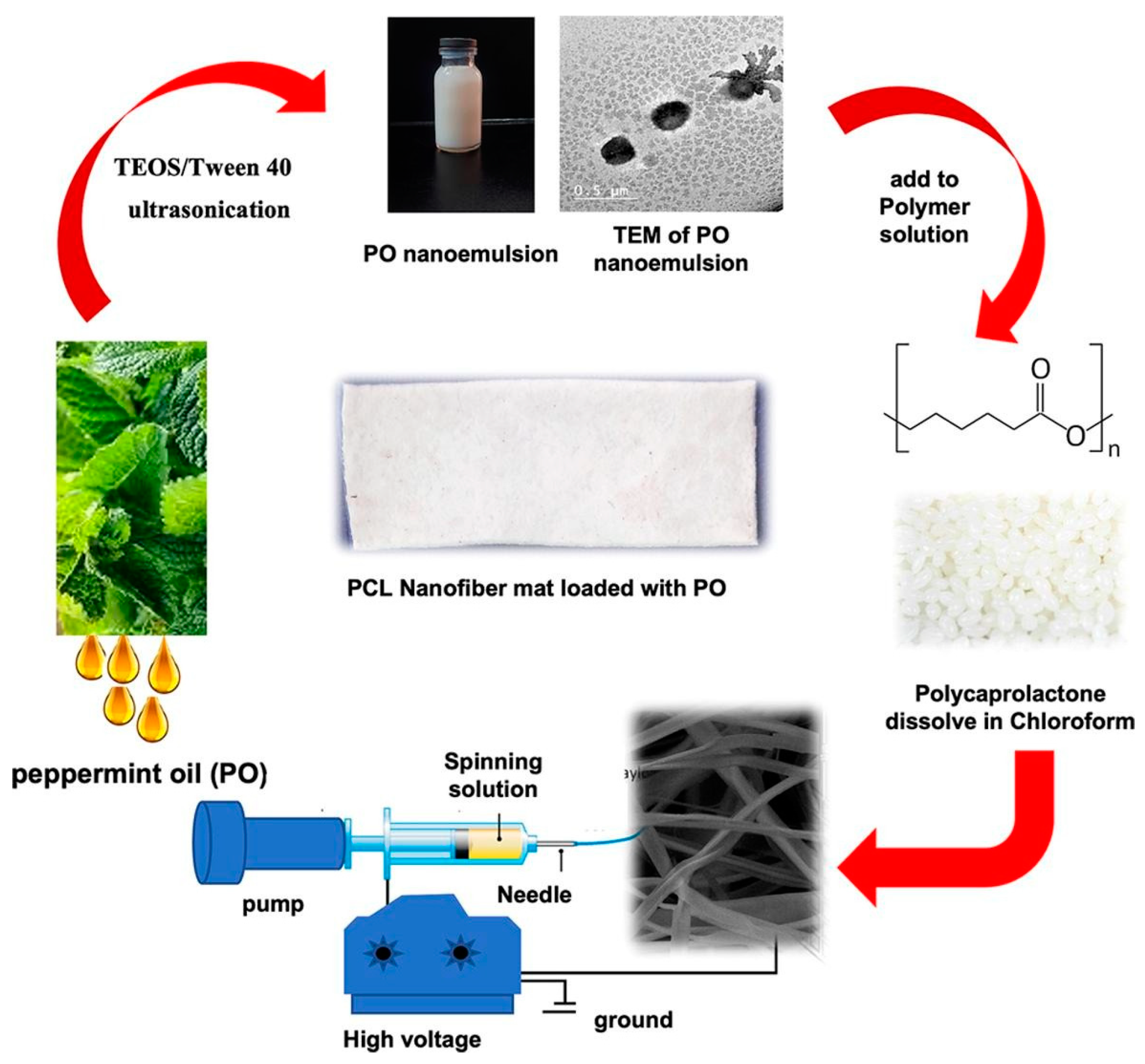Pharmaceutics 15 01866 g007 Pharmaceutics 15 01866 g007
