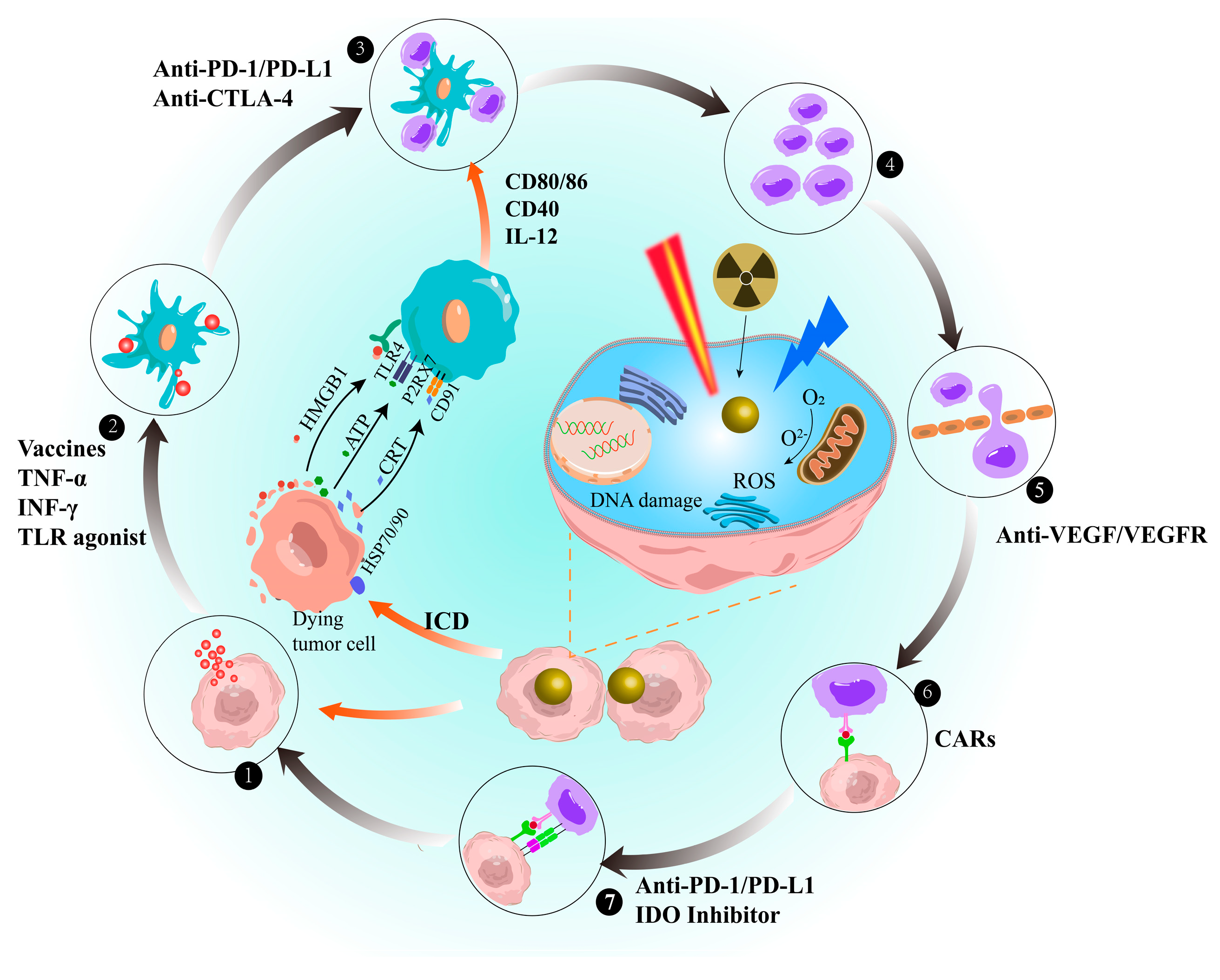 Pharmaceutics 15 01868 g004 Pharmaceutics 15 01868 g004
