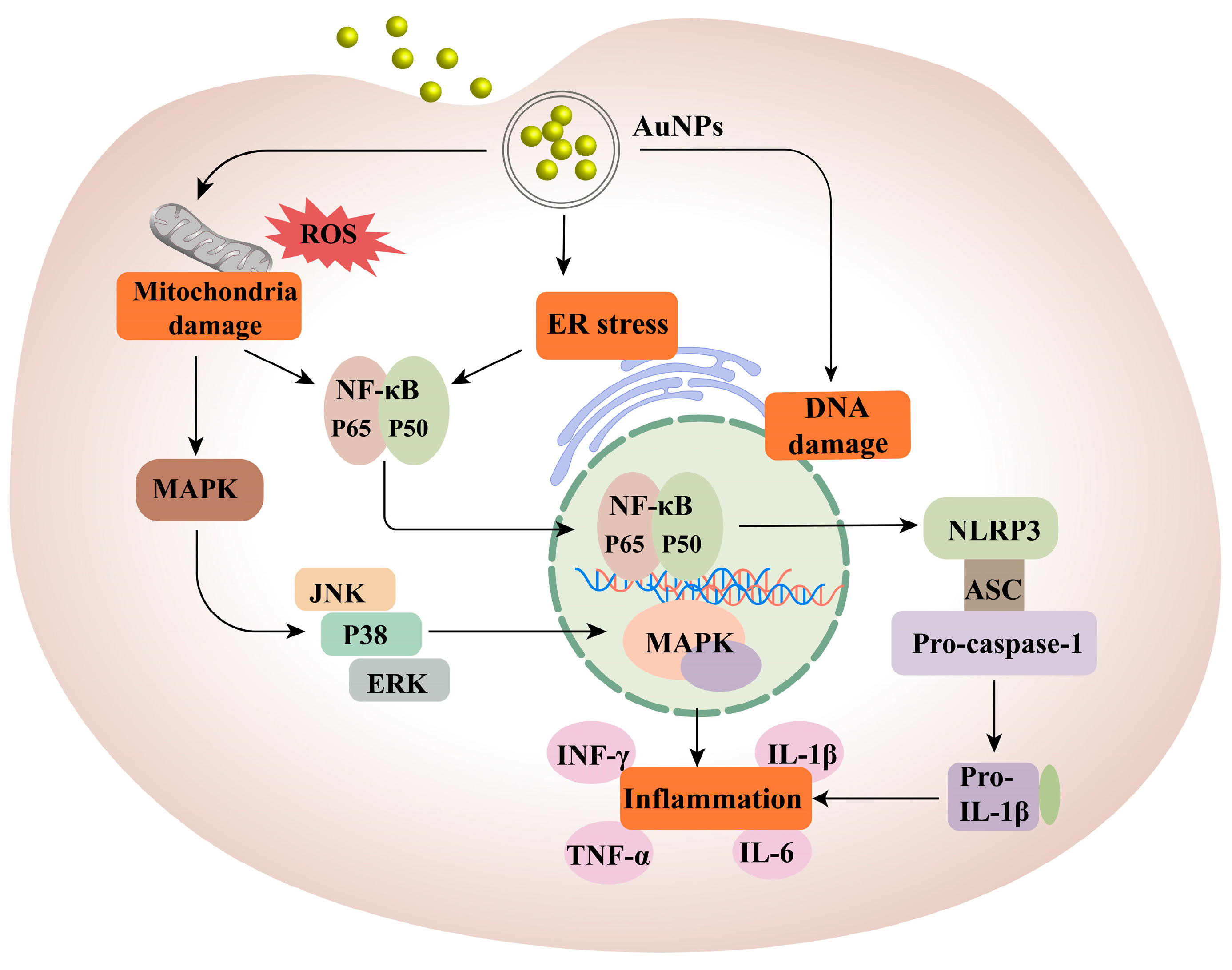 Pharmaceutics 15 01868 g005 Pharmaceutics 15 01868 g005