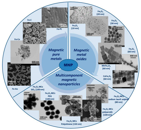 Recent Advances in the Development of Drug Delivery