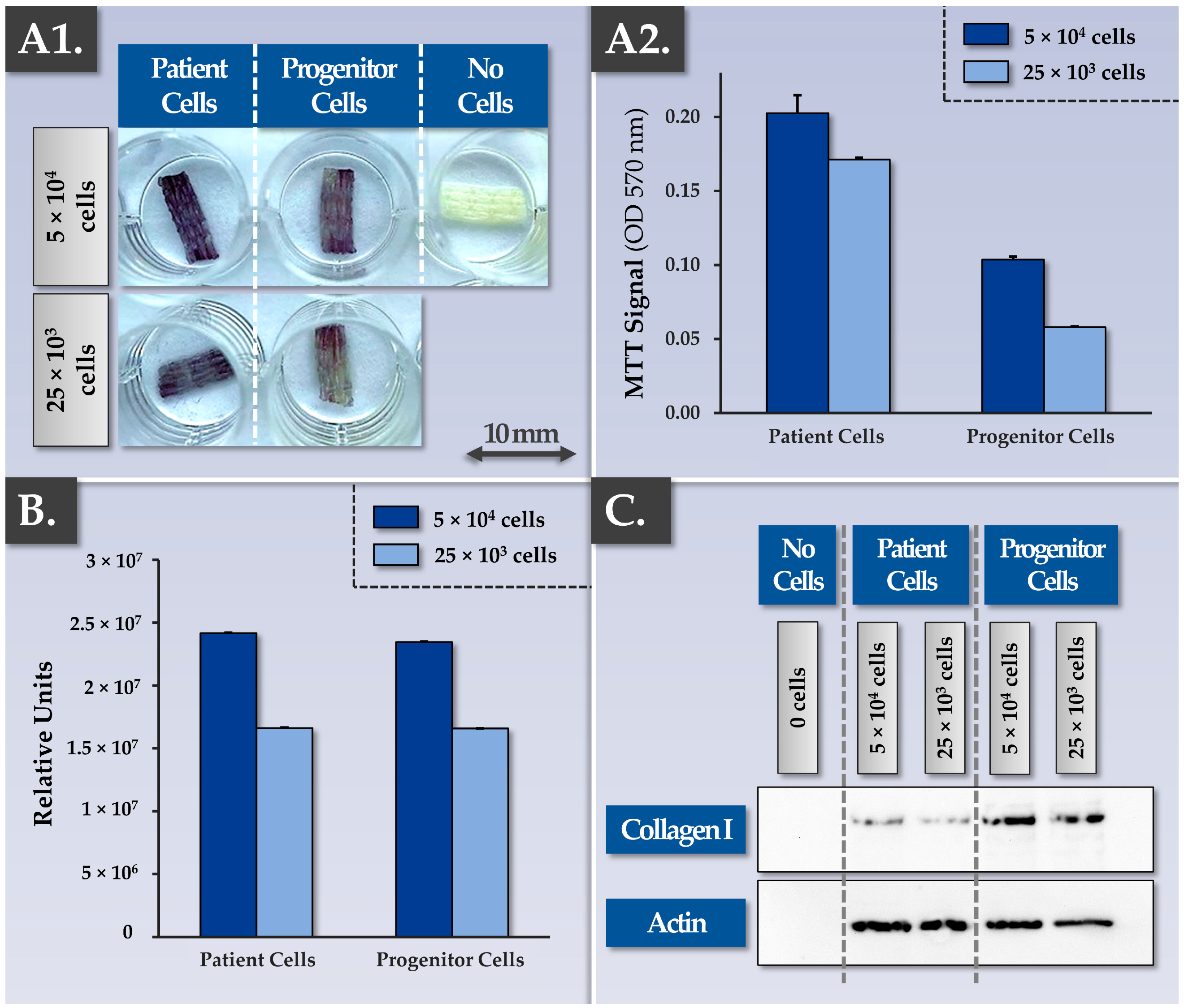 Pharmaceutics 15 01873 g002 Pharmaceutics 15 01873 g002