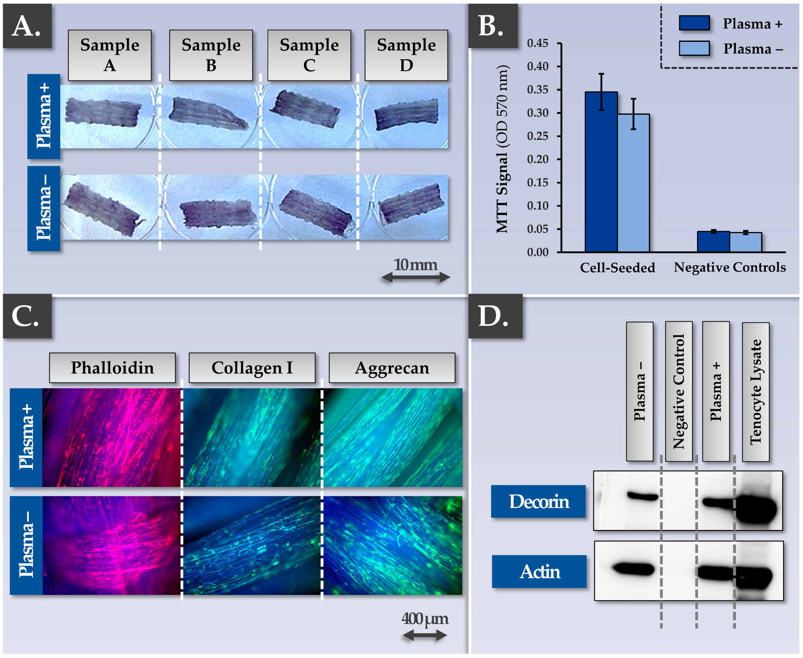 Pharmaceutics 15 01873 g003 Pharmaceutics 15 01873 g003