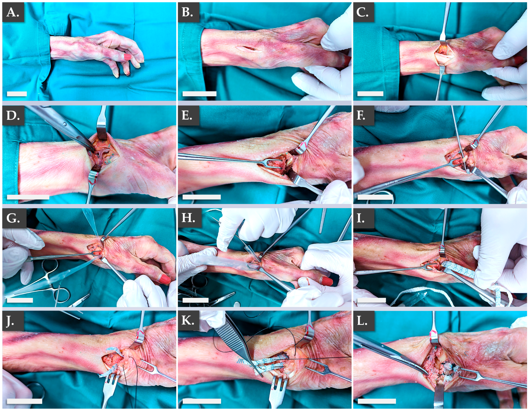 Pharmaceutics 15 01873 g005 Pharmaceutics 15 01873 g005