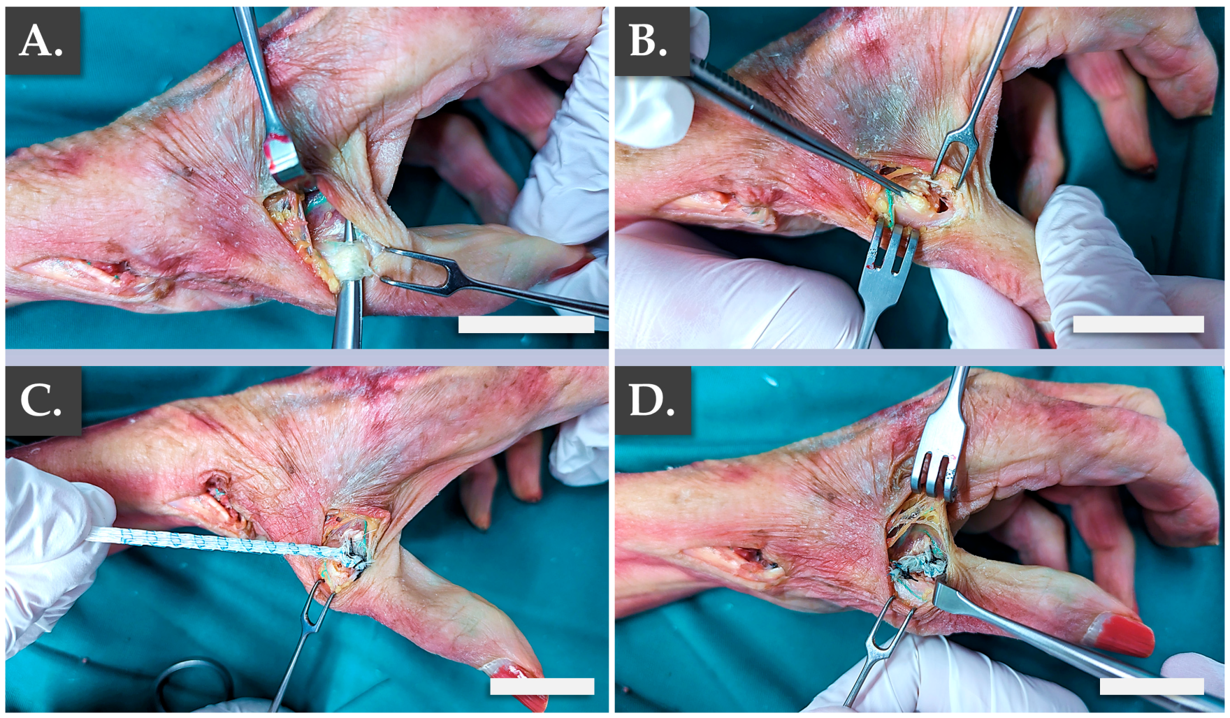 Pharmaceutics 15 01873 g006 Pharmaceutics 15 01873 g006