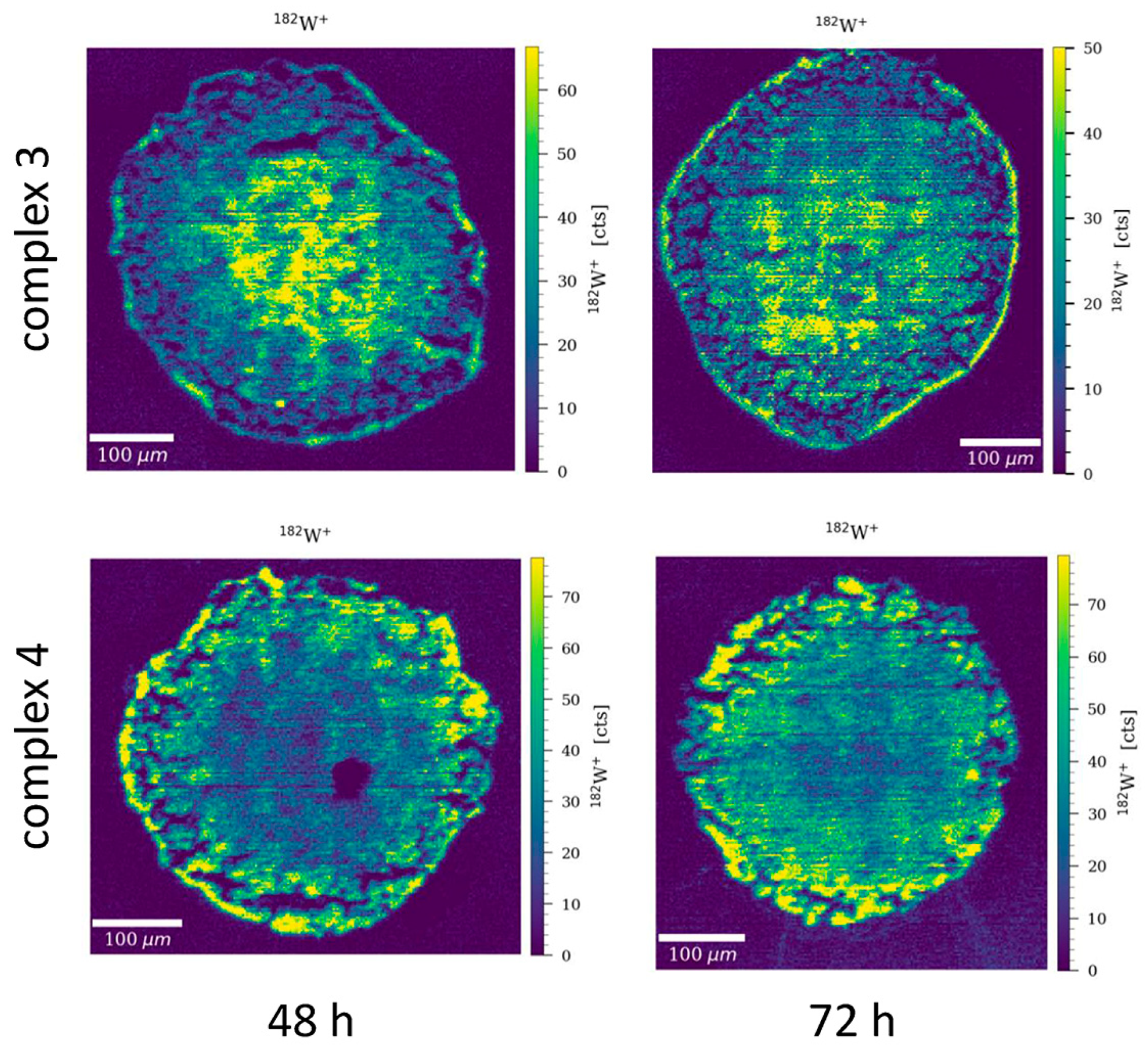Pharmaceutics 15 01875 g006