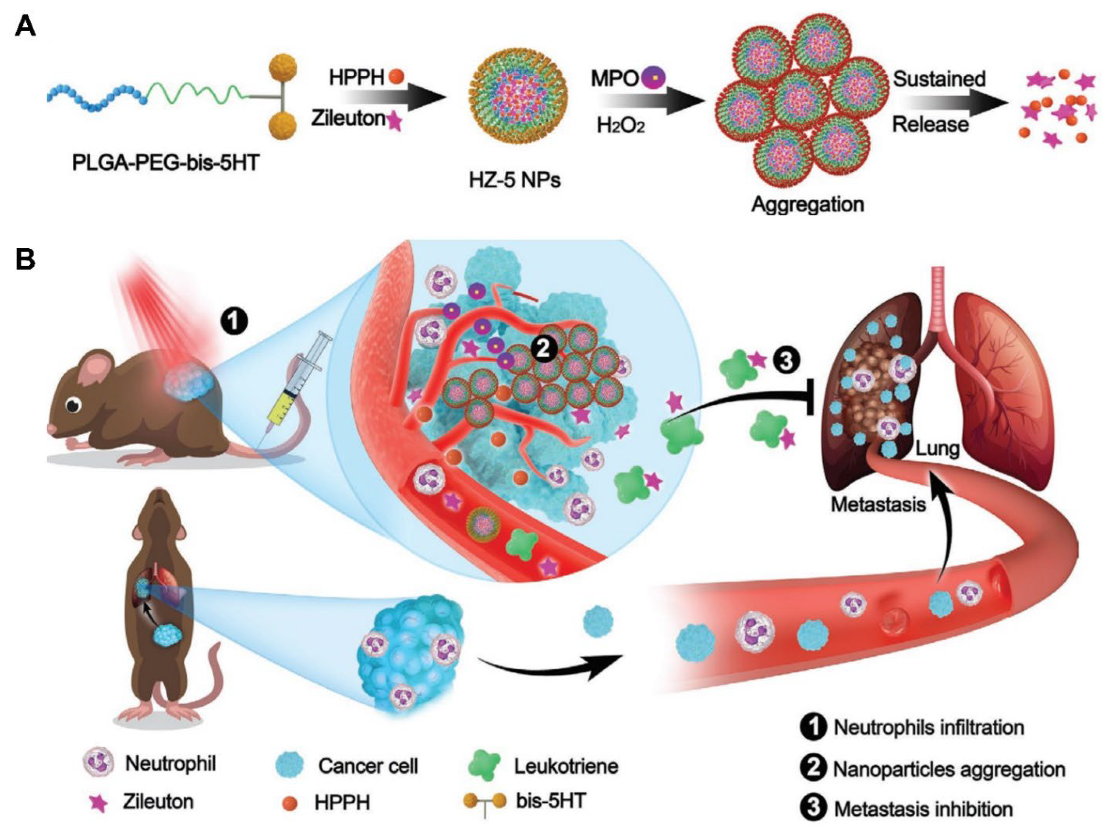 Pharmaceutics 15 01881 g006