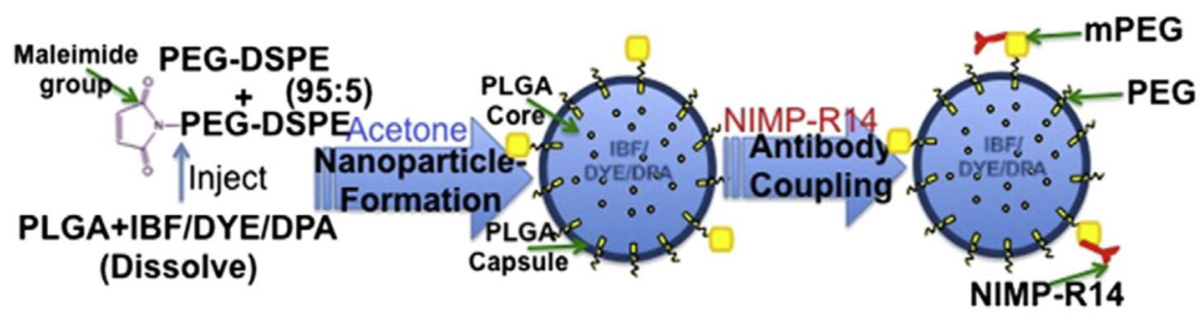 Pharmaceutics 15 01881 g009