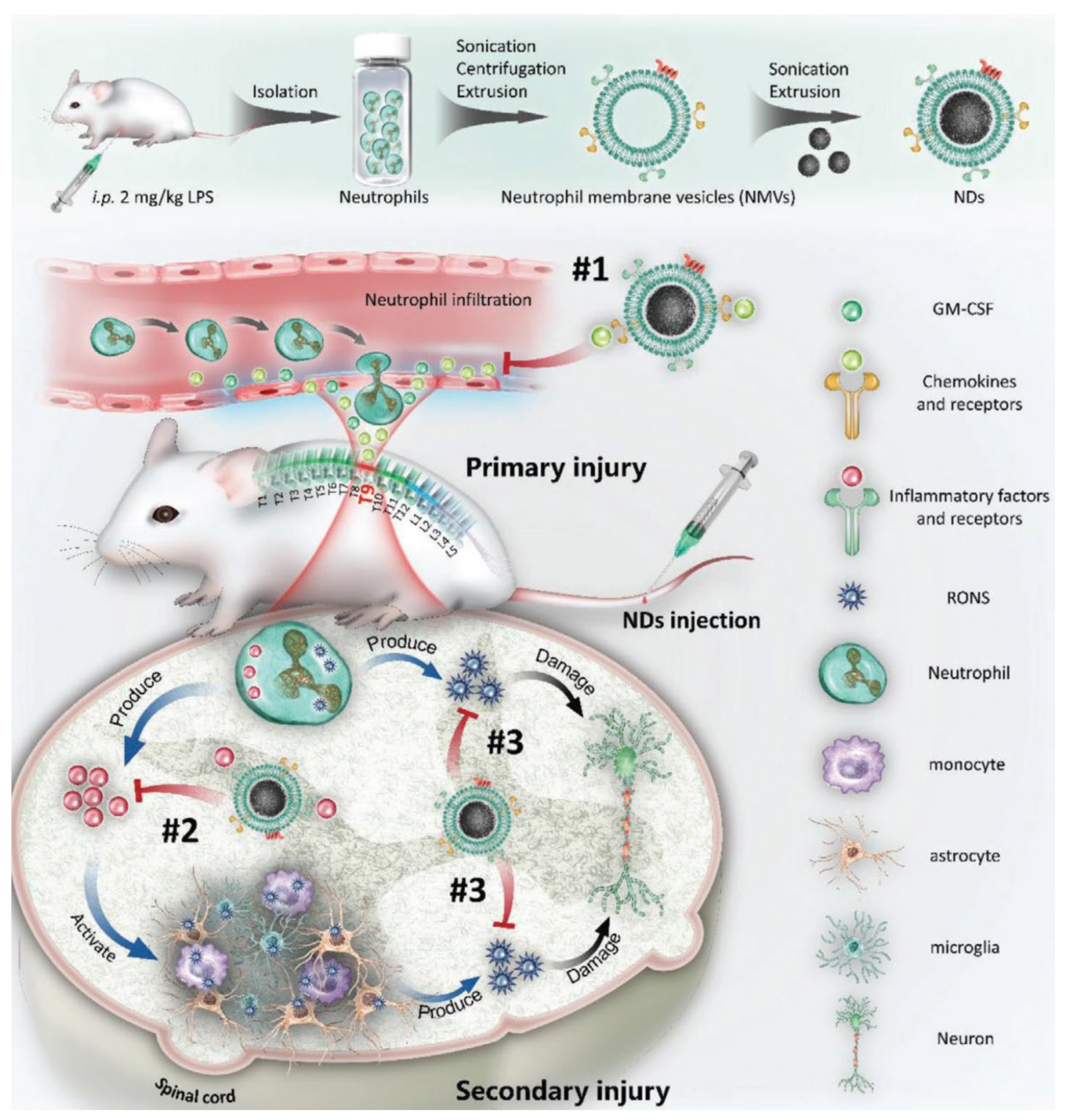 Pharmaceutics 15 01881 g014