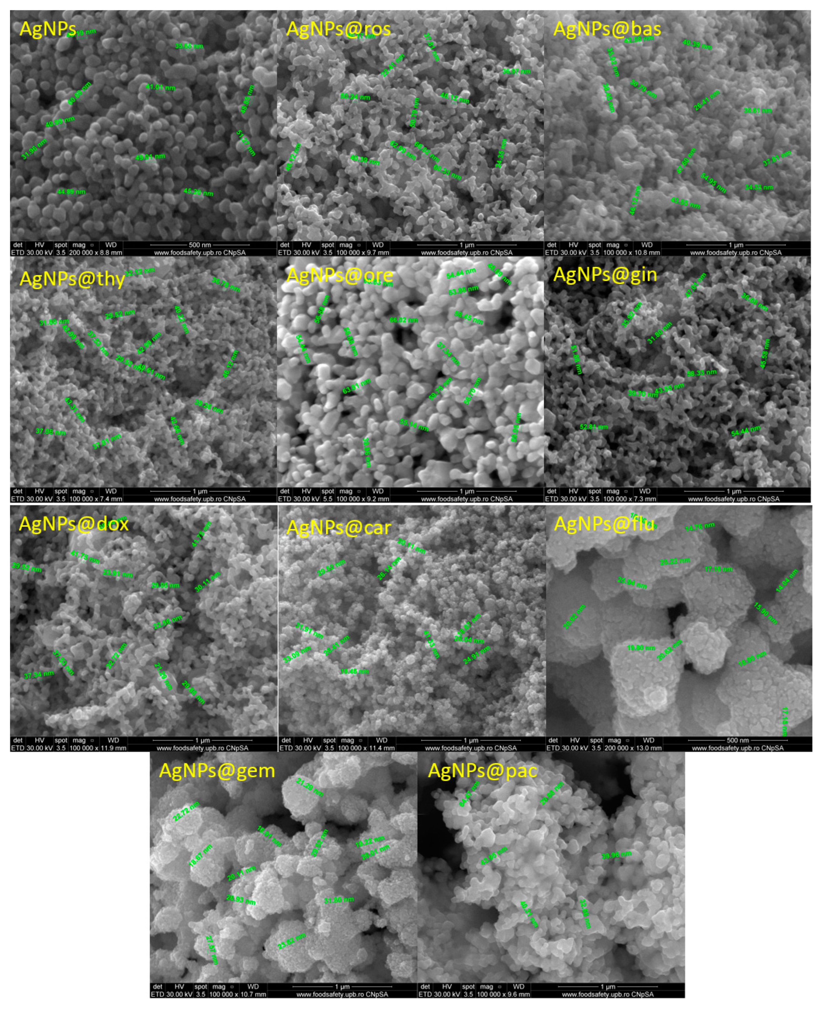 Pharmaceutics 15 01882 g002 Pharmaceutics 15 01882 g002
