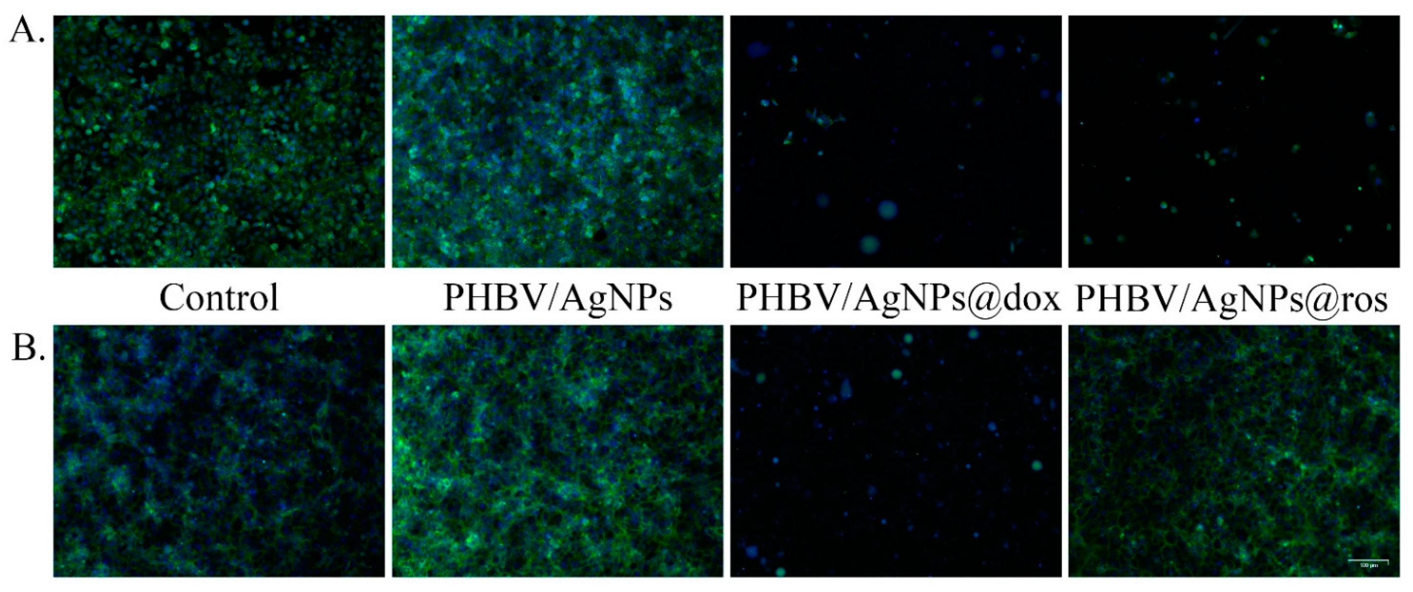 Pharmaceutics 15 01882 g013 Pharmaceutics 15 01882 g013
