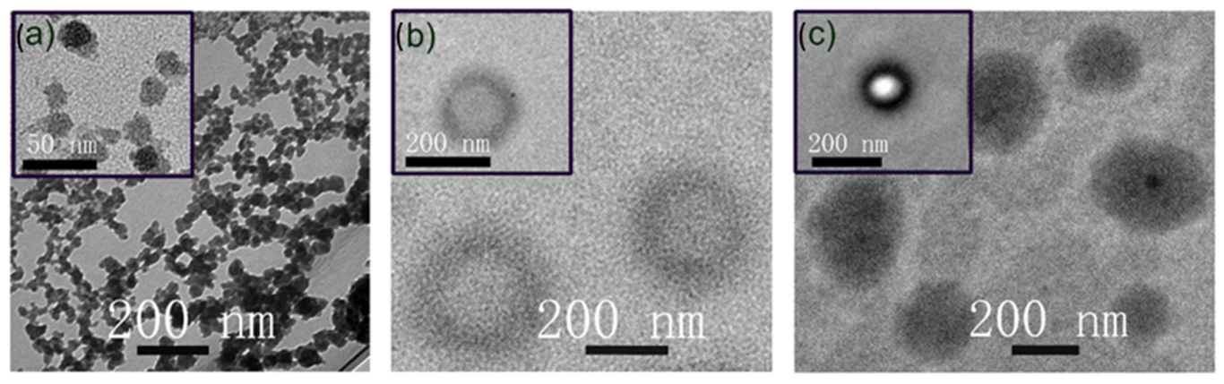Pharmaceutics 15 01886 g001