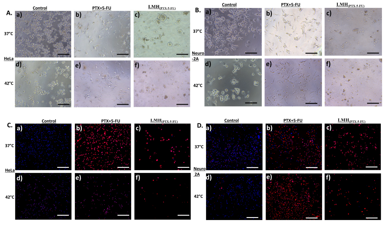 Pharmaceutics 15 01886 g007