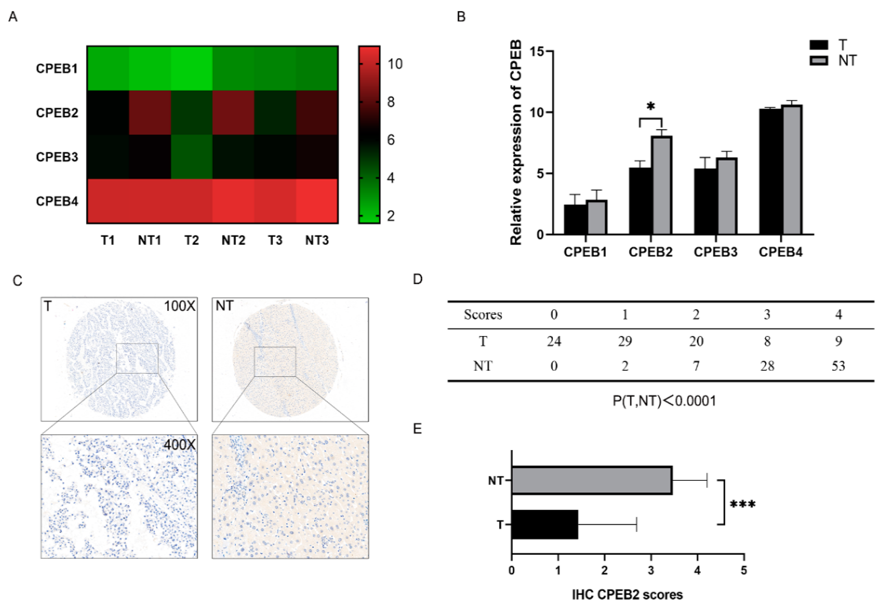 Pharmaceutics 15 01887 g001 Pharmaceutics 15 01887 g001