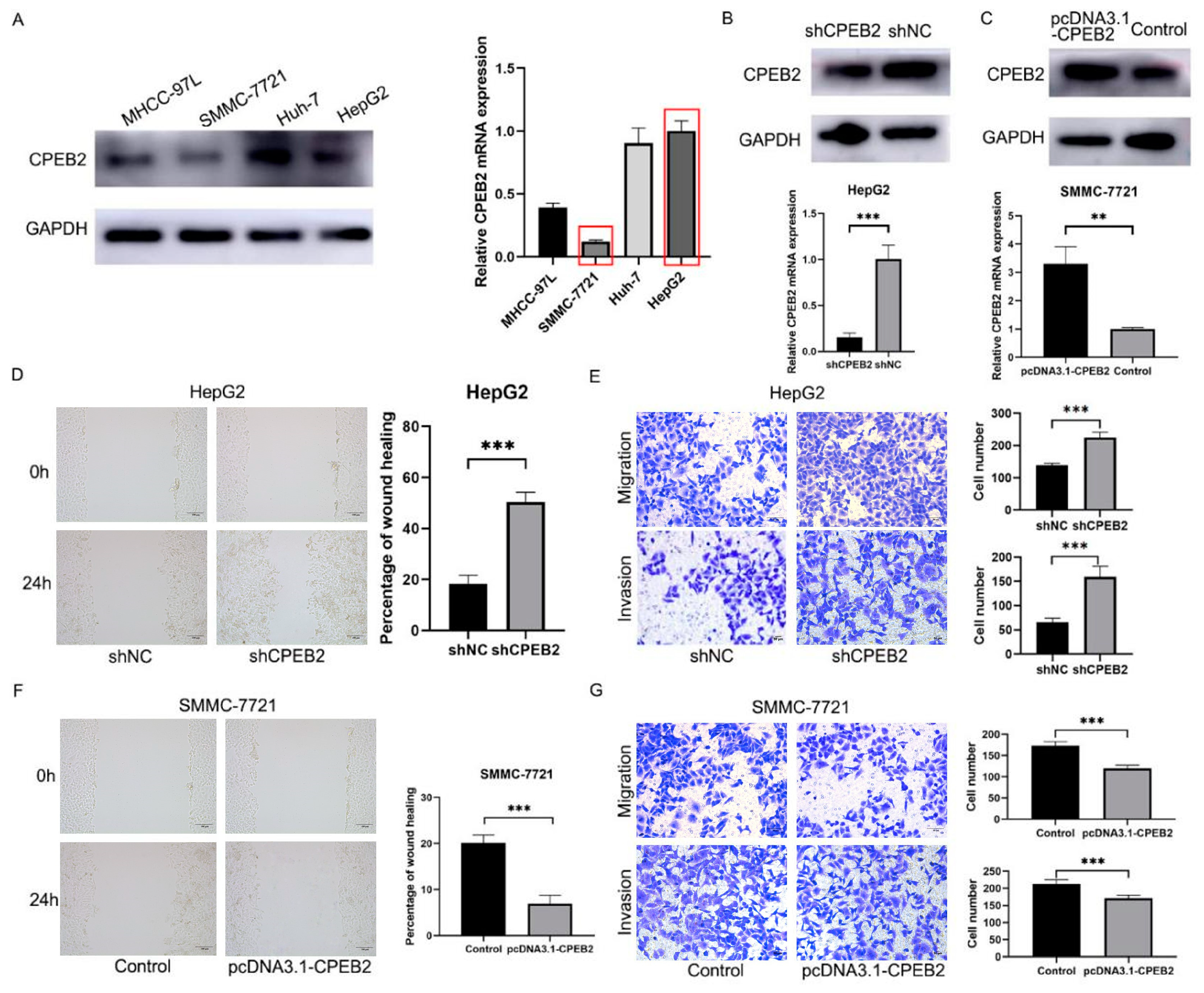Pharmaceutics 15 01887 g002 Pharmaceutics 15 01887 g002