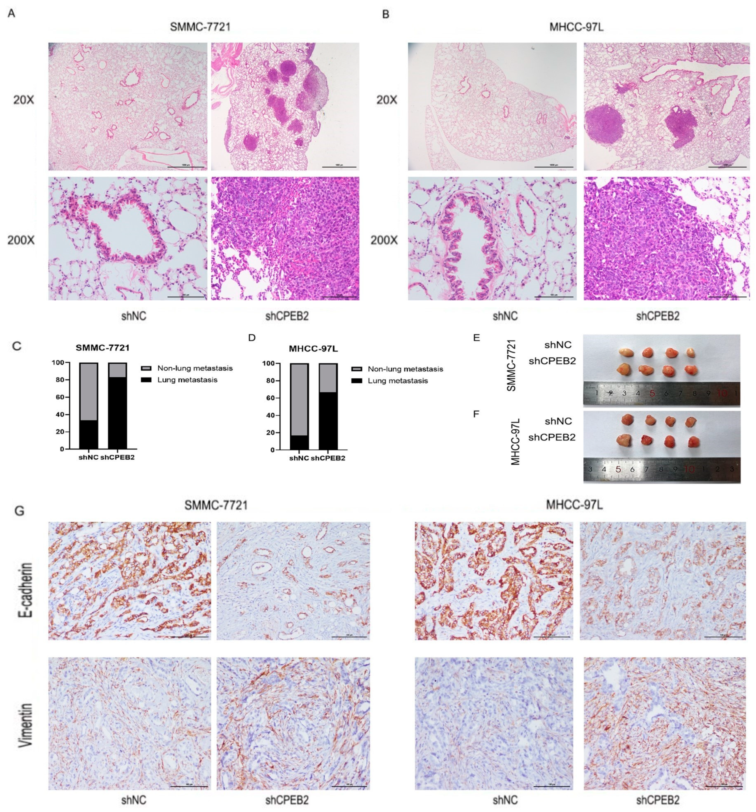 Pharmaceutics 15 01887 g003 Pharmaceutics 15 01887 g003