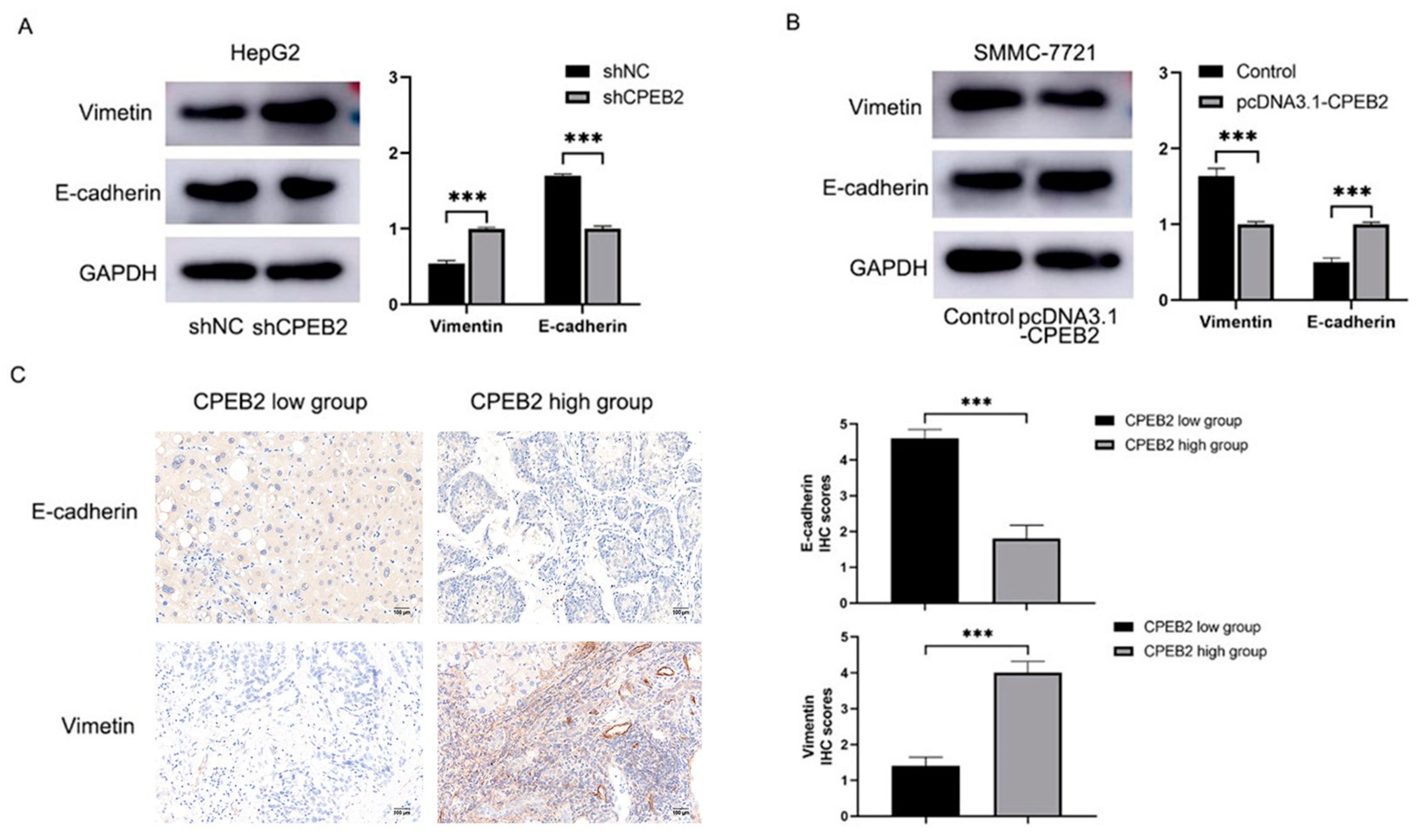 Pharmaceutics 15 01887 g004 Pharmaceutics 15 01887 g004