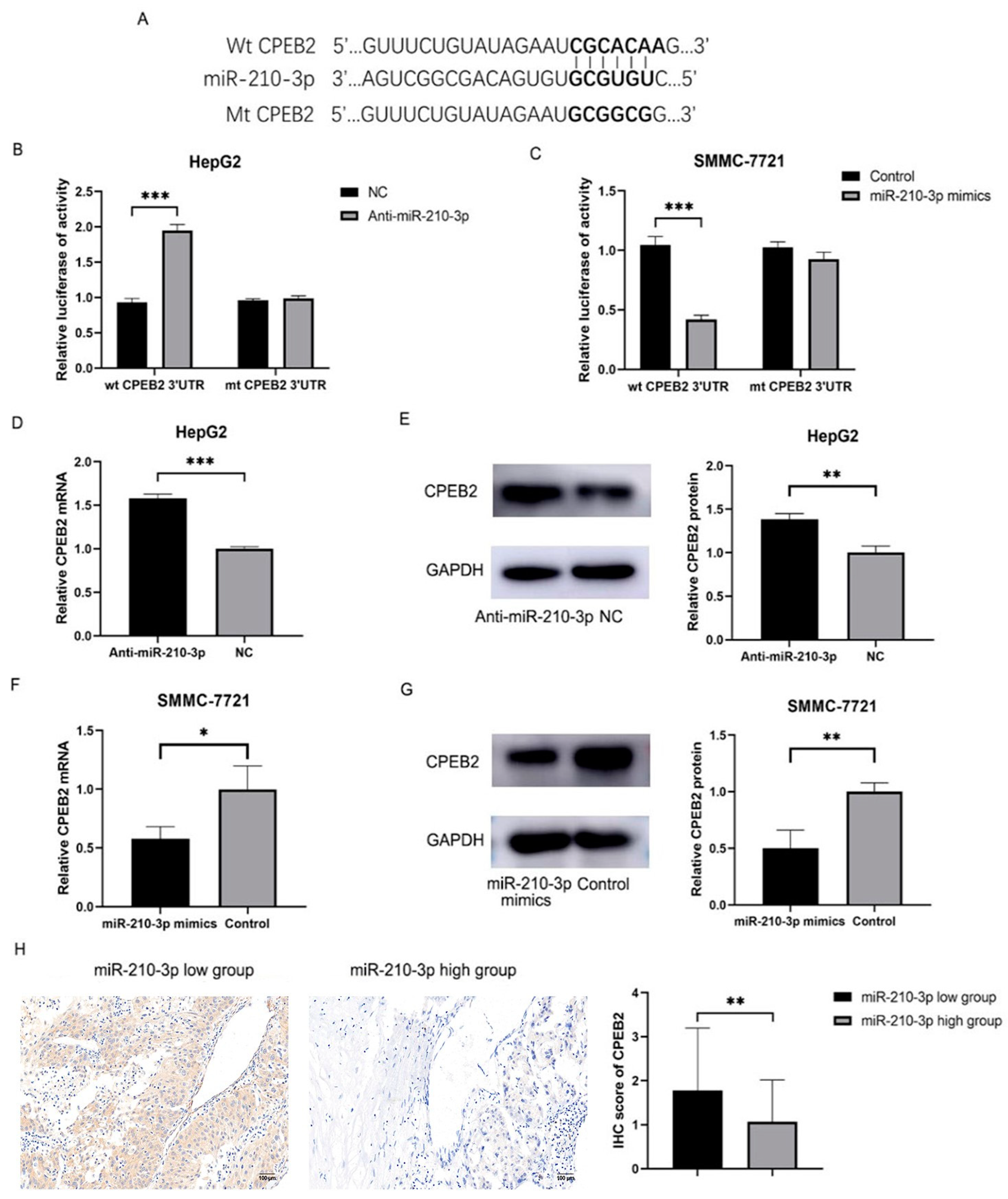 Pharmaceutics 15 01887 g005 Pharmaceutics 15 01887 g005