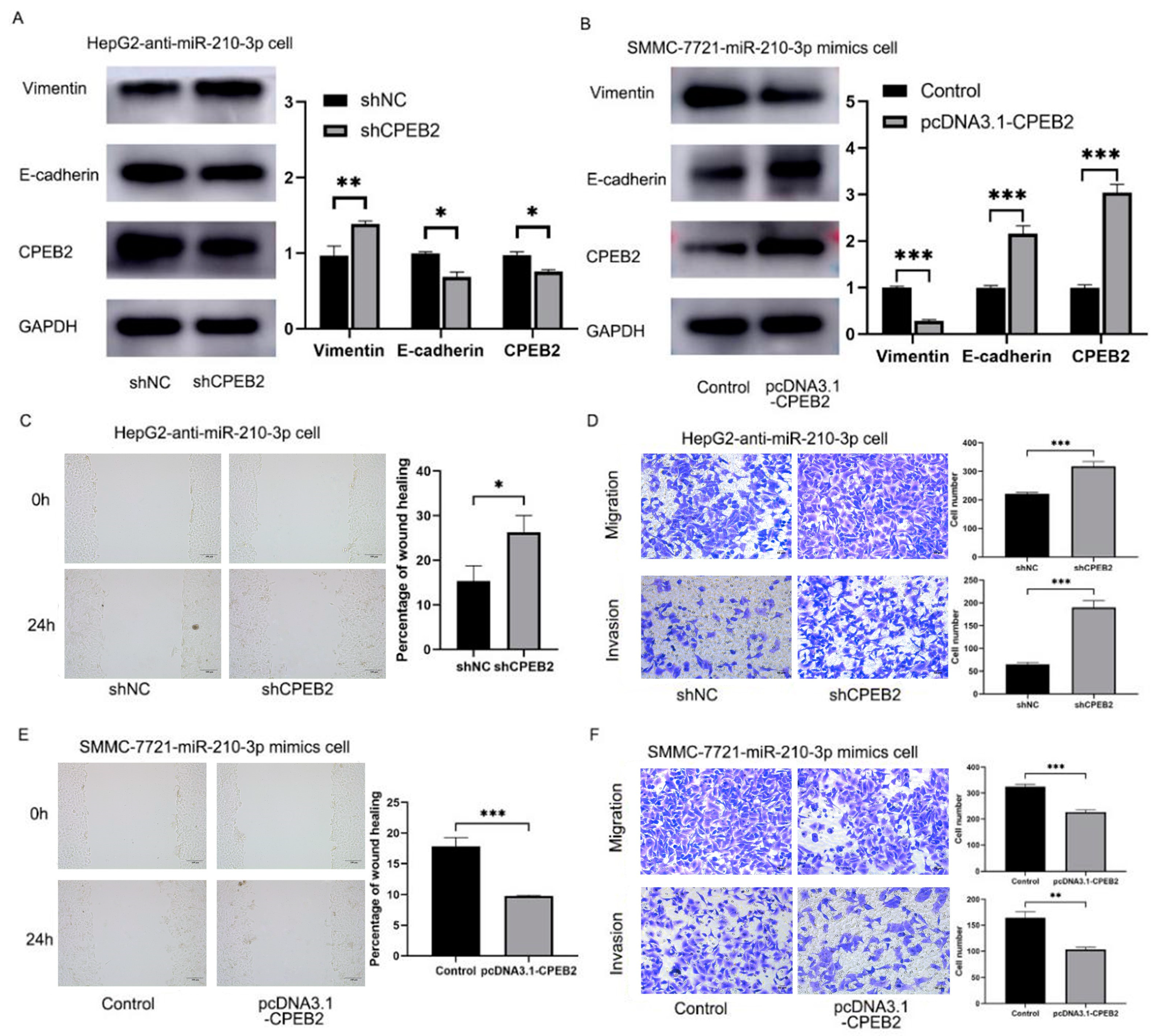 Pharmaceutics 15 01887 g006 Pharmaceutics 15 01887 g006