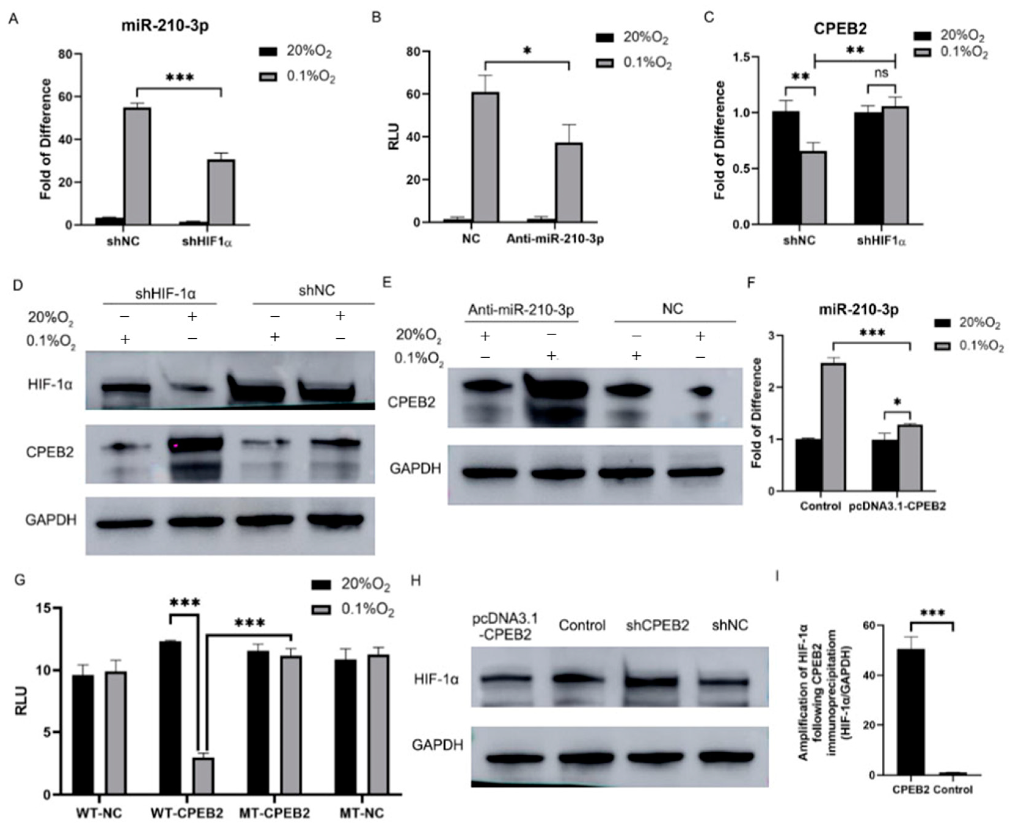 Pharmaceutics 15 01887 g007 Pharmaceutics 15 01887 g007