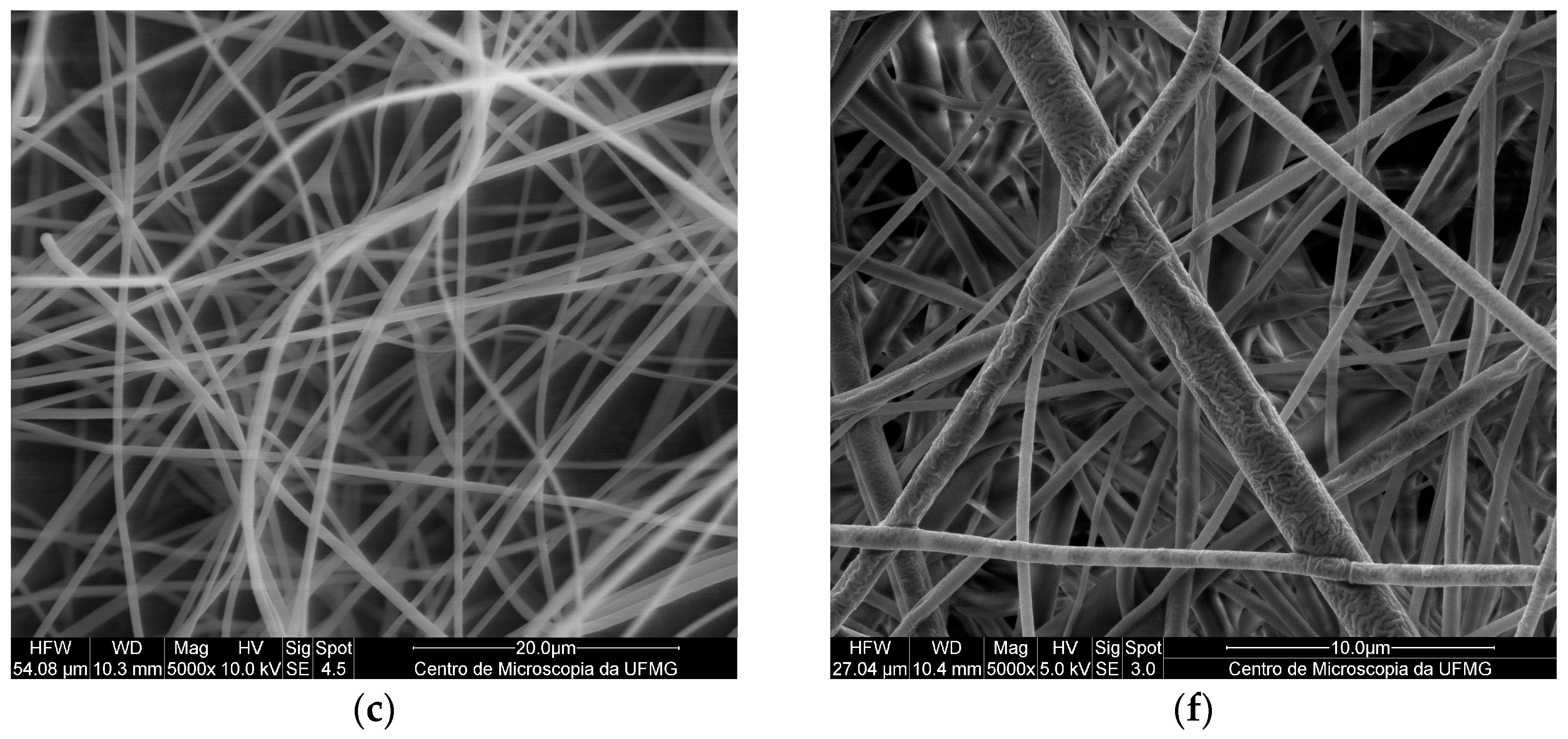 Pharmaceutics 15 01890 g002b Pharmaceutics 15 01890 g002b