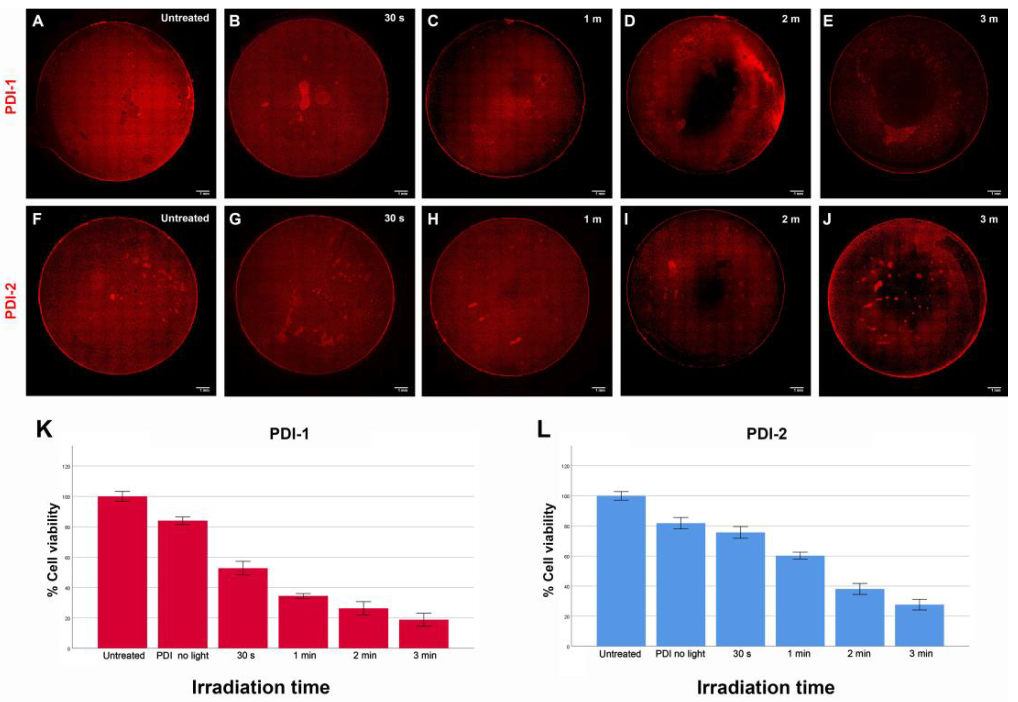 Pharmaceutics 15 01892 g006 Pharmaceutics 15 01892 g006