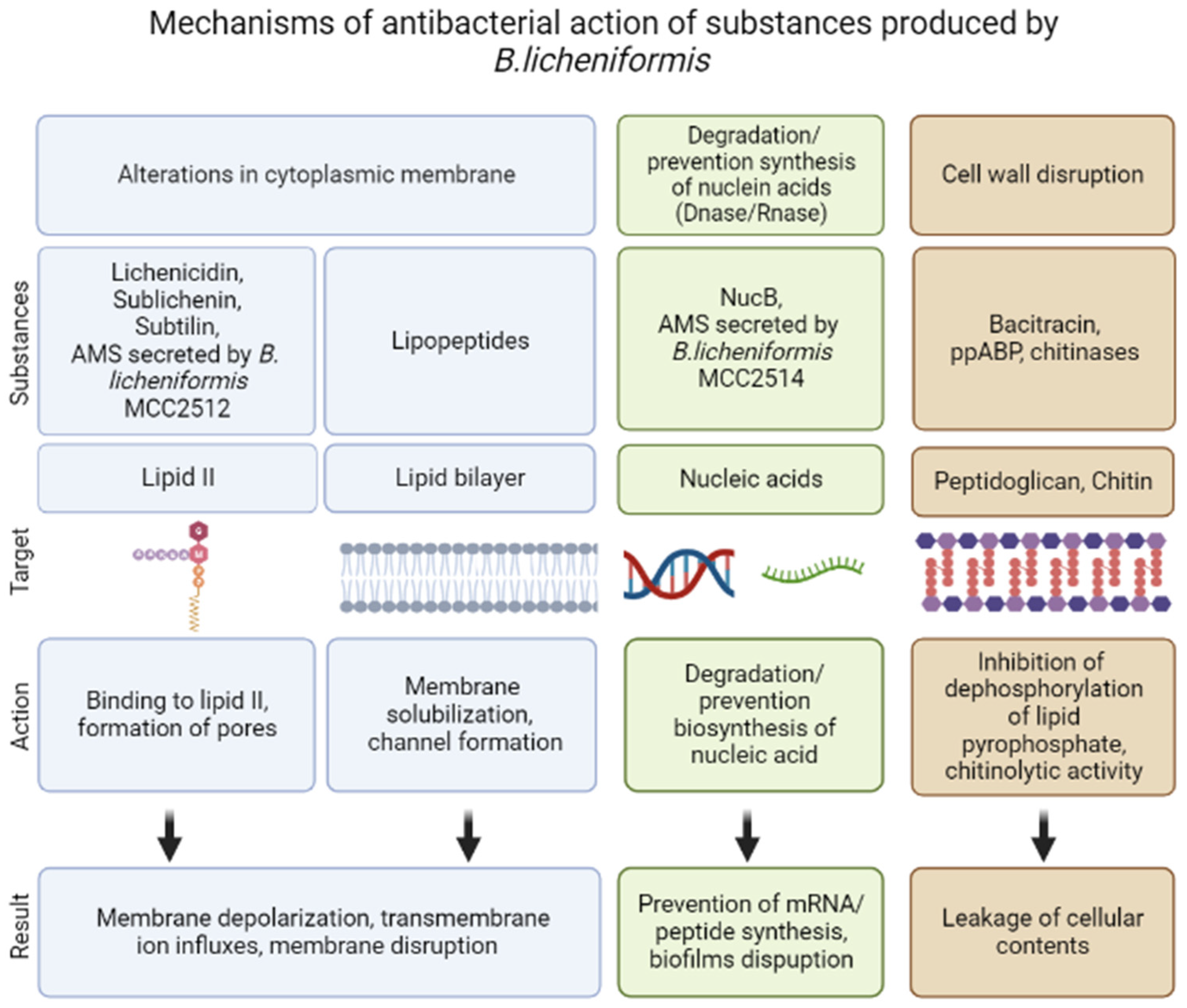 Pharmaceutics 15 01893 g002