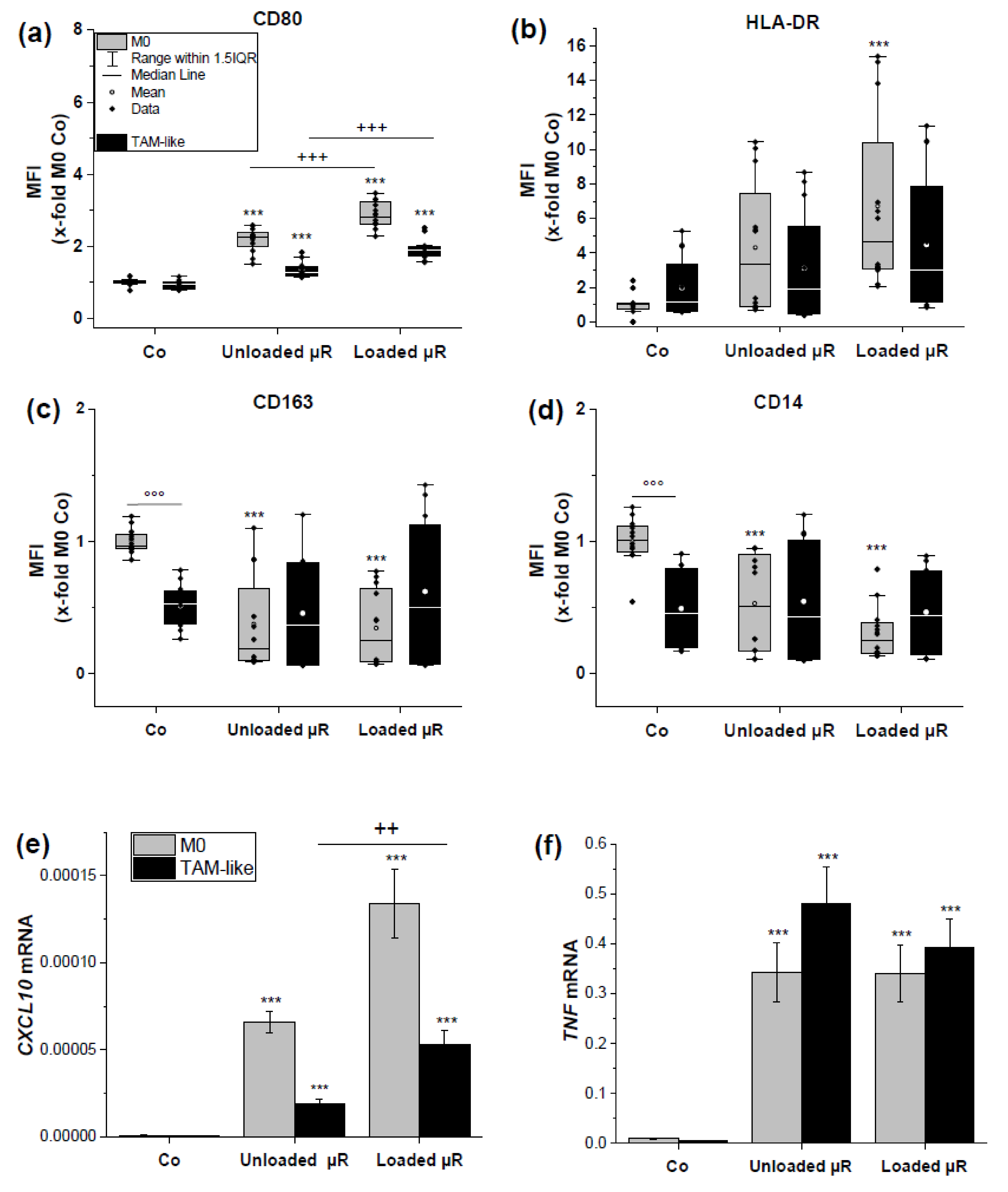 Pharmaceutics 15 01895 g005