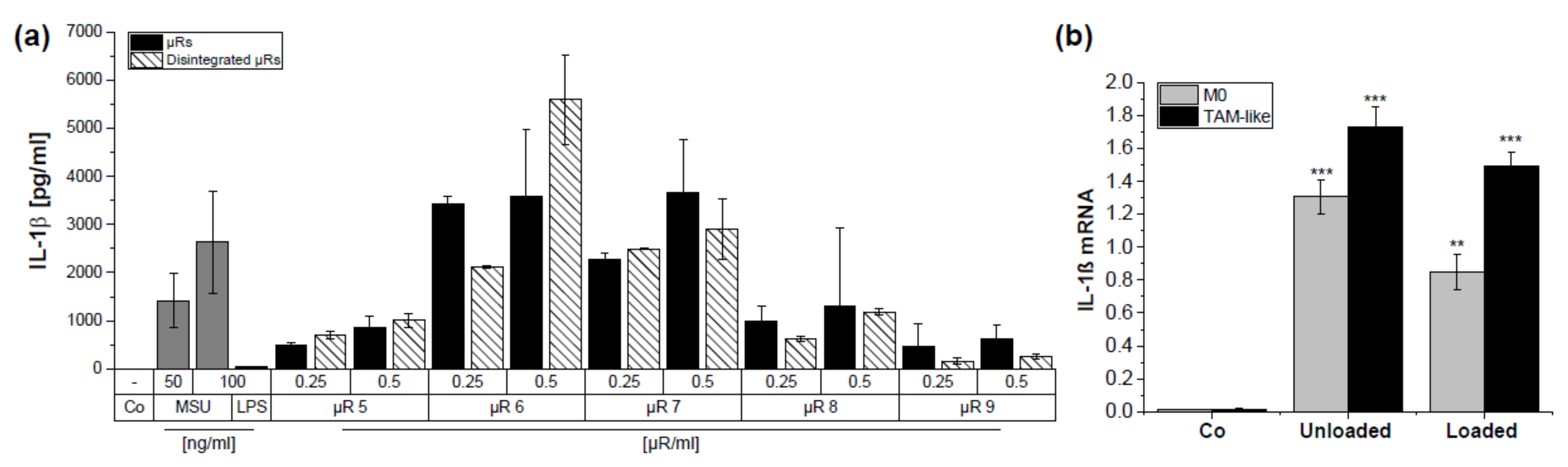 Pharmaceutics 15 01895 g007