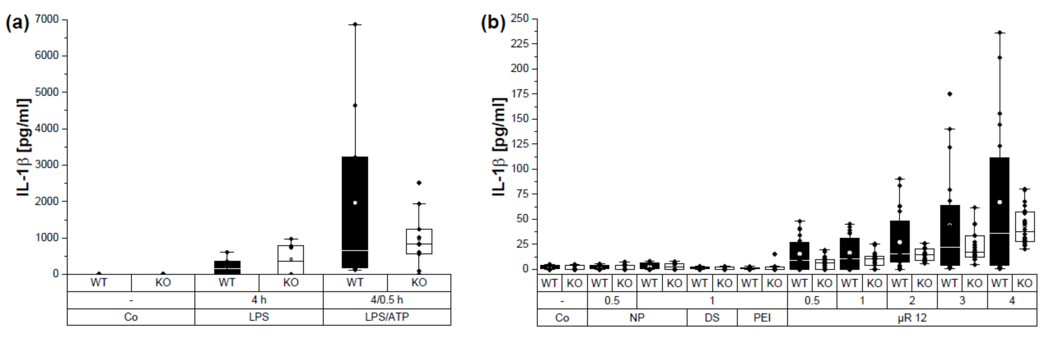 Pharmaceutics 15 01895 g008