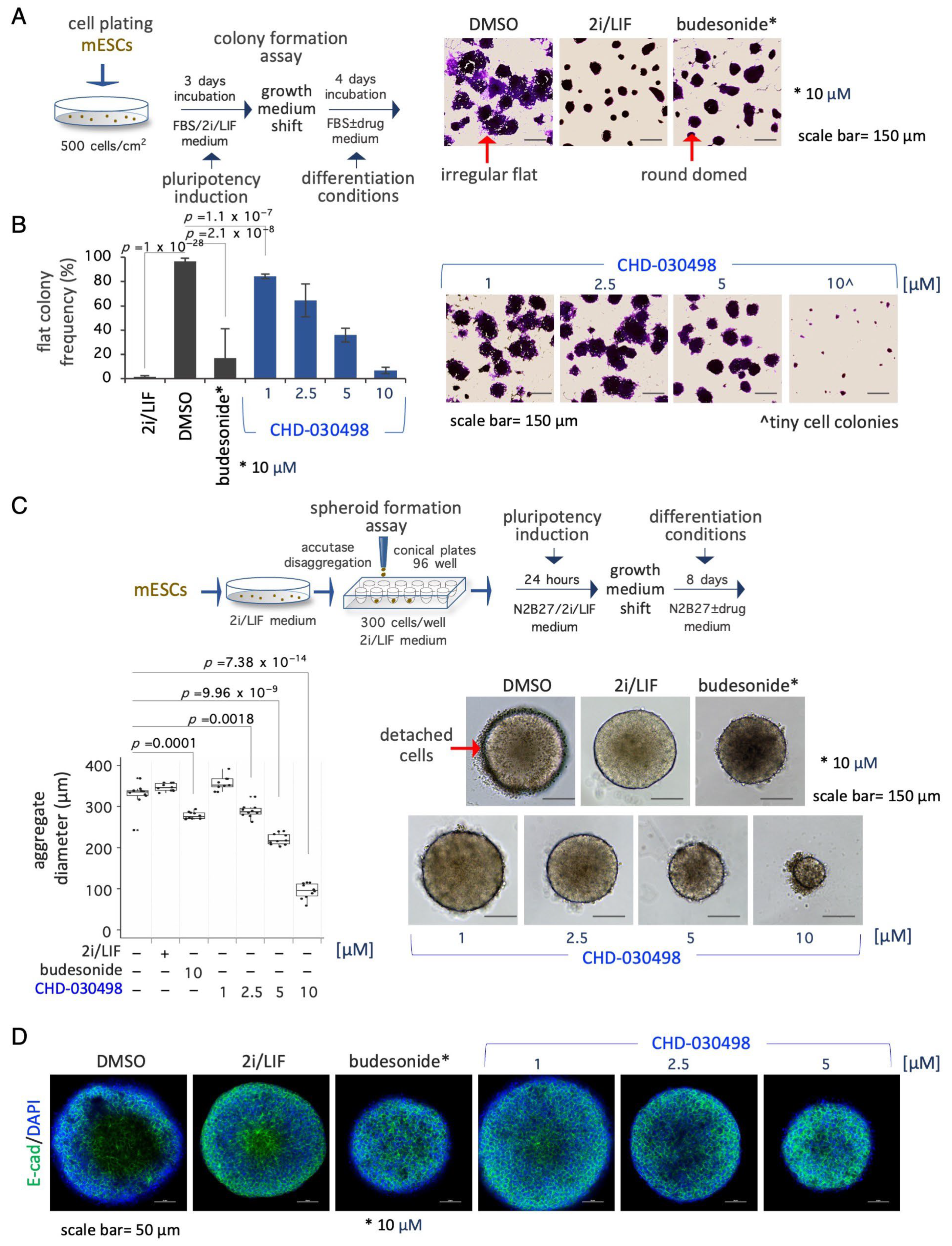 Pharmaceutics 15 01897 g004