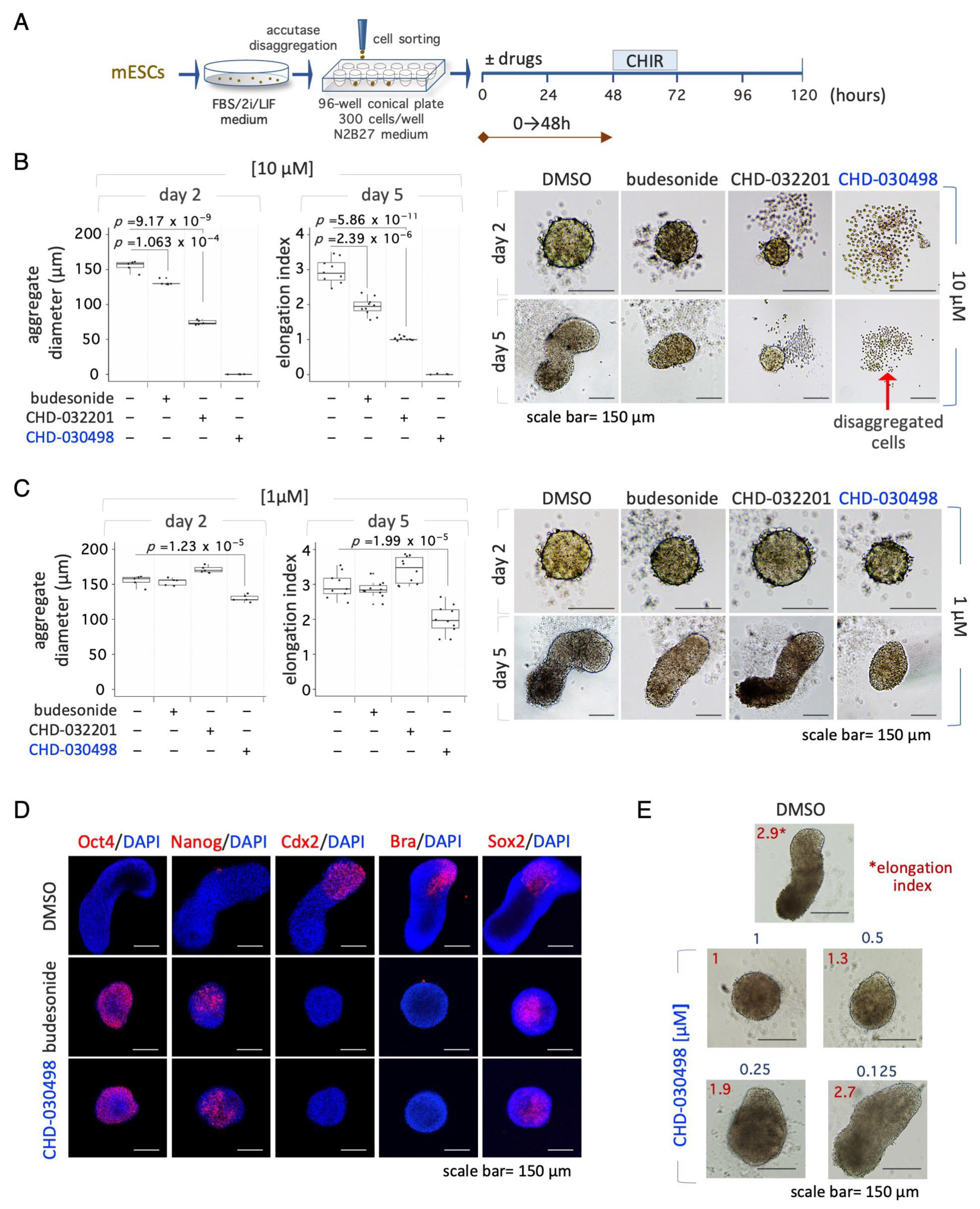 Pharmaceutics 15 01897 g005