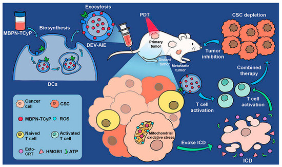 Recent Progress in Extracellular Vesicle-Based Carriers for
