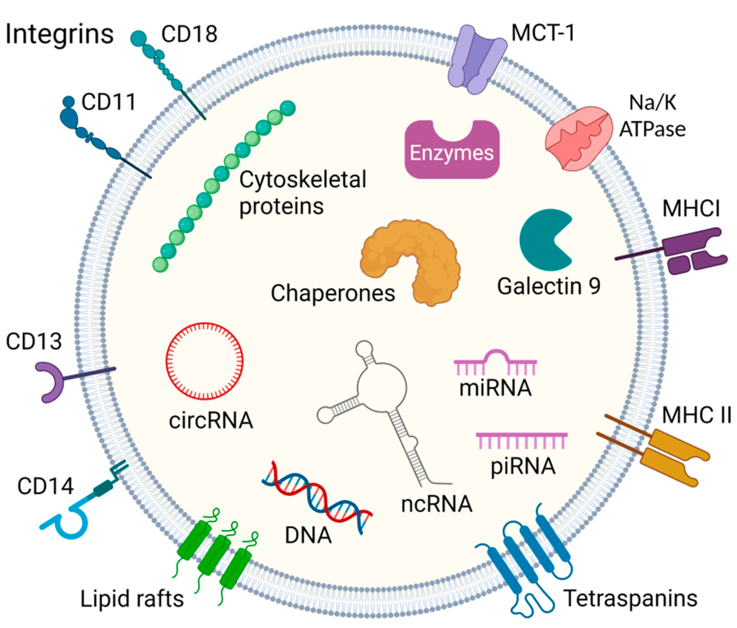 Pharmaceutics 15 01904 g001 Pharmaceutics 15 01904 g001