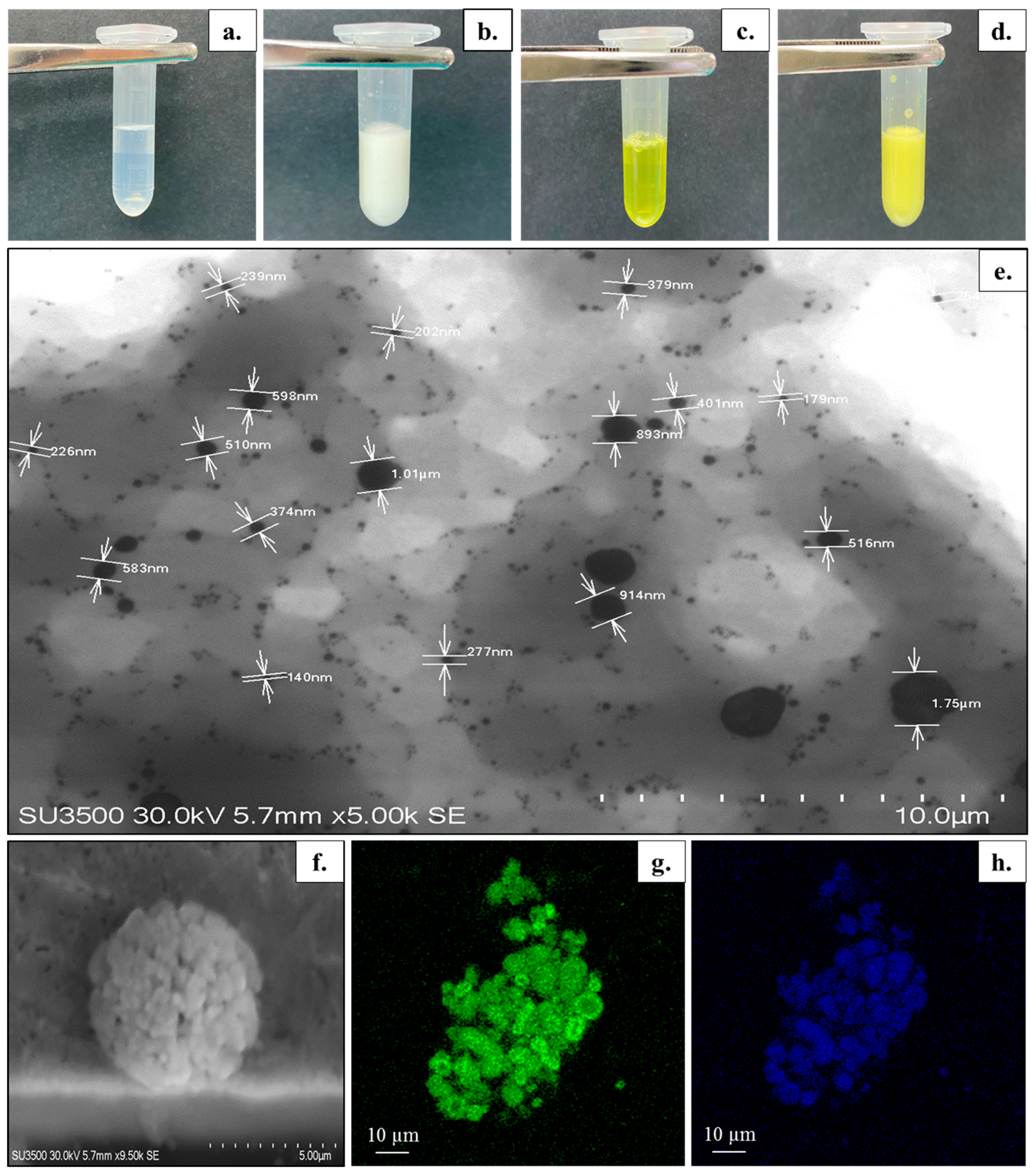 Pharmaceutics 15 01912 g001 Pharmaceutics 15 01912 g001