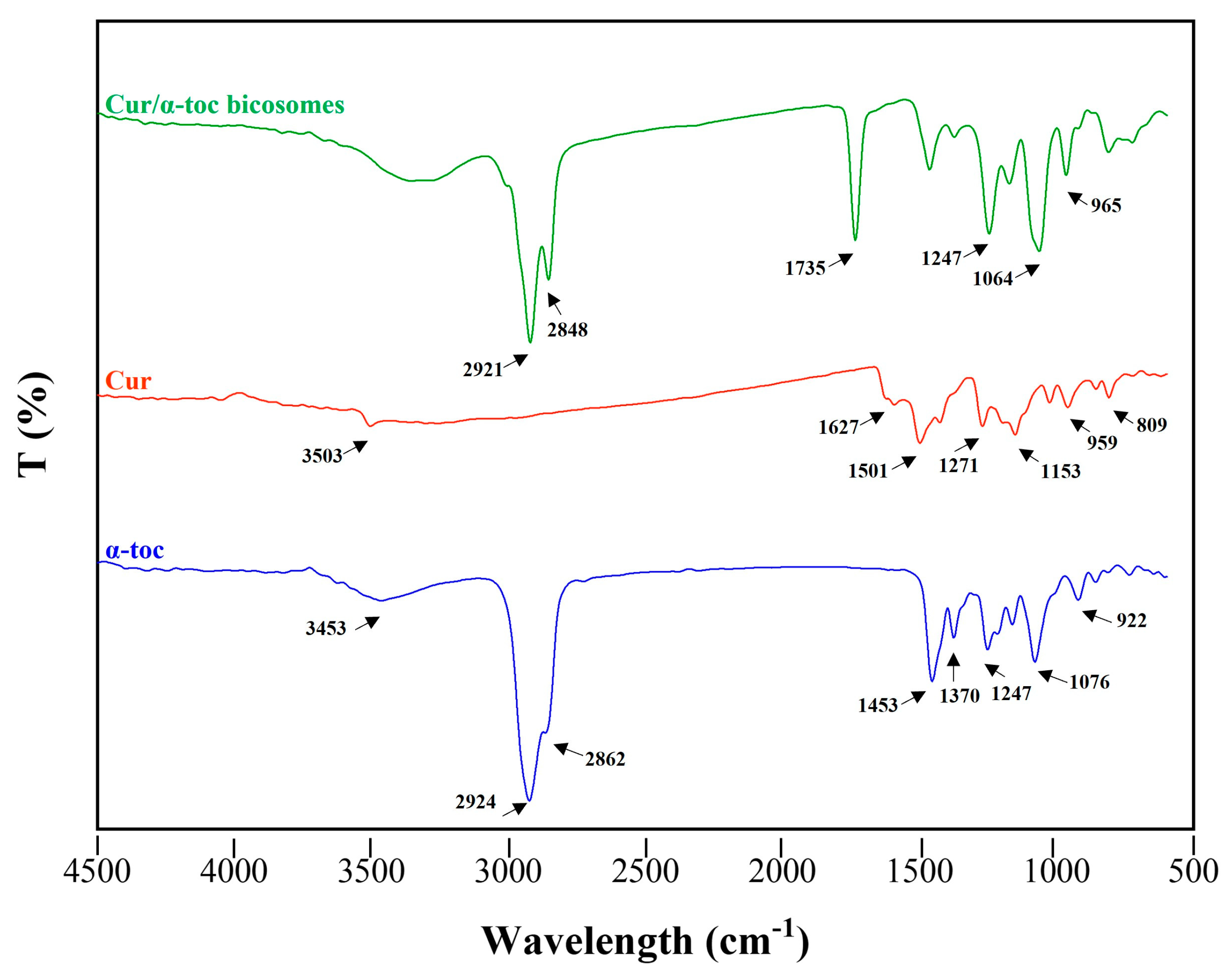 Pharmaceutics 15 01912 g002 Pharmaceutics 15 01912 g002