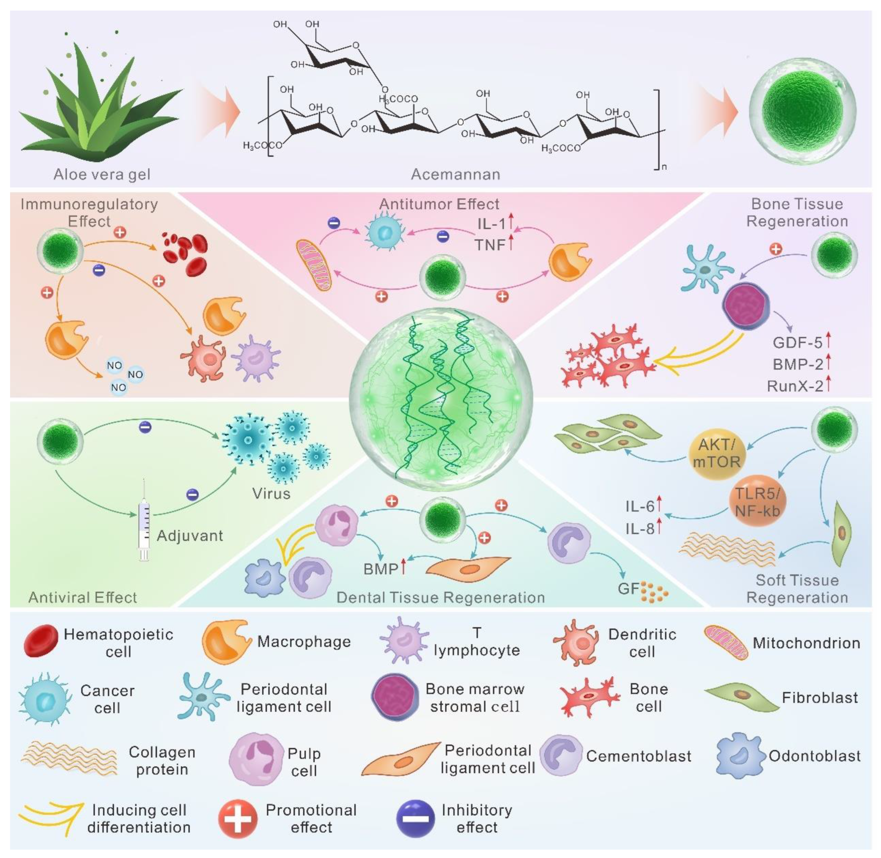 Pharmaceutics 15 01913 g008