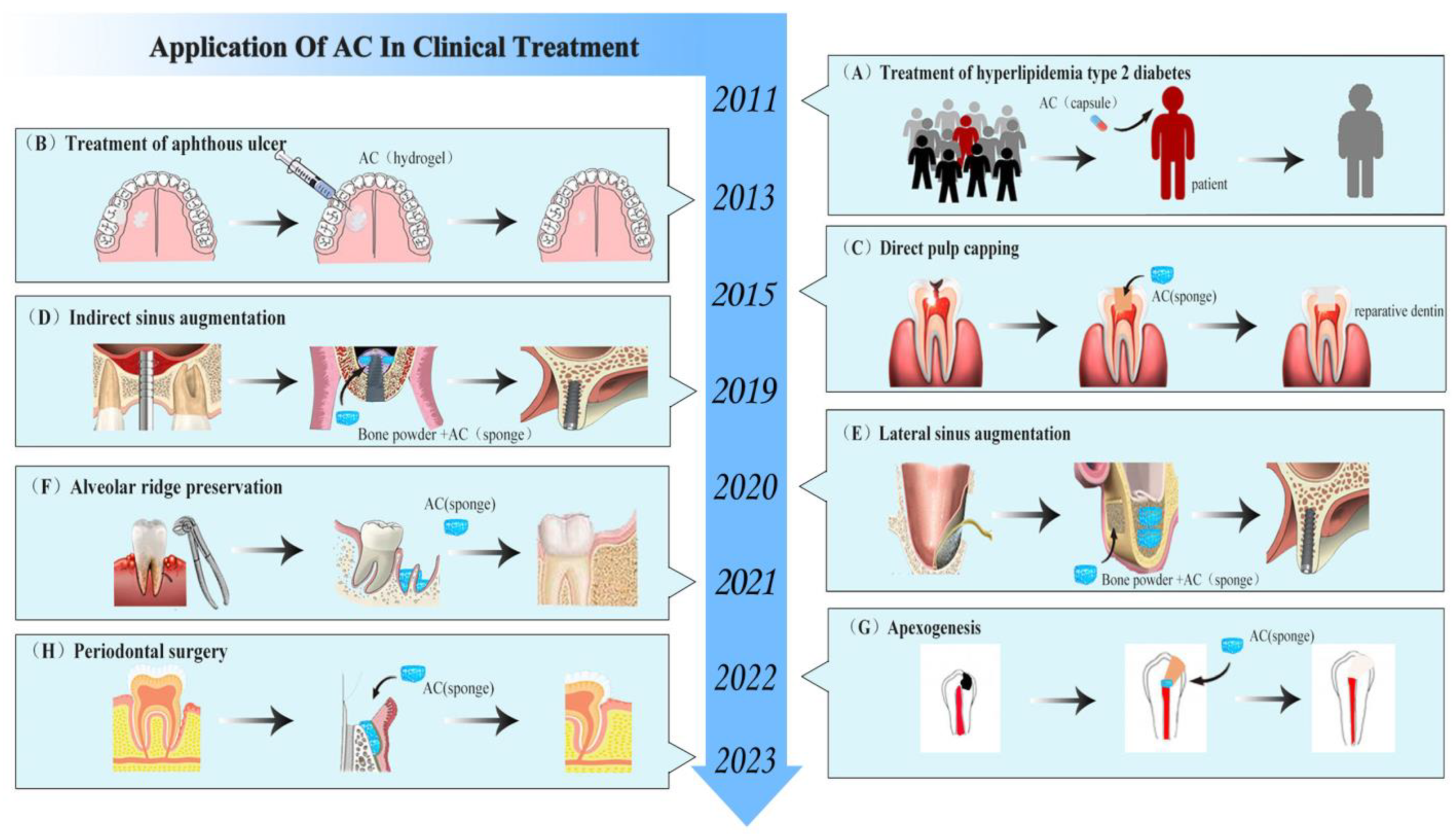 Pharmaceutics 15 01913 g011