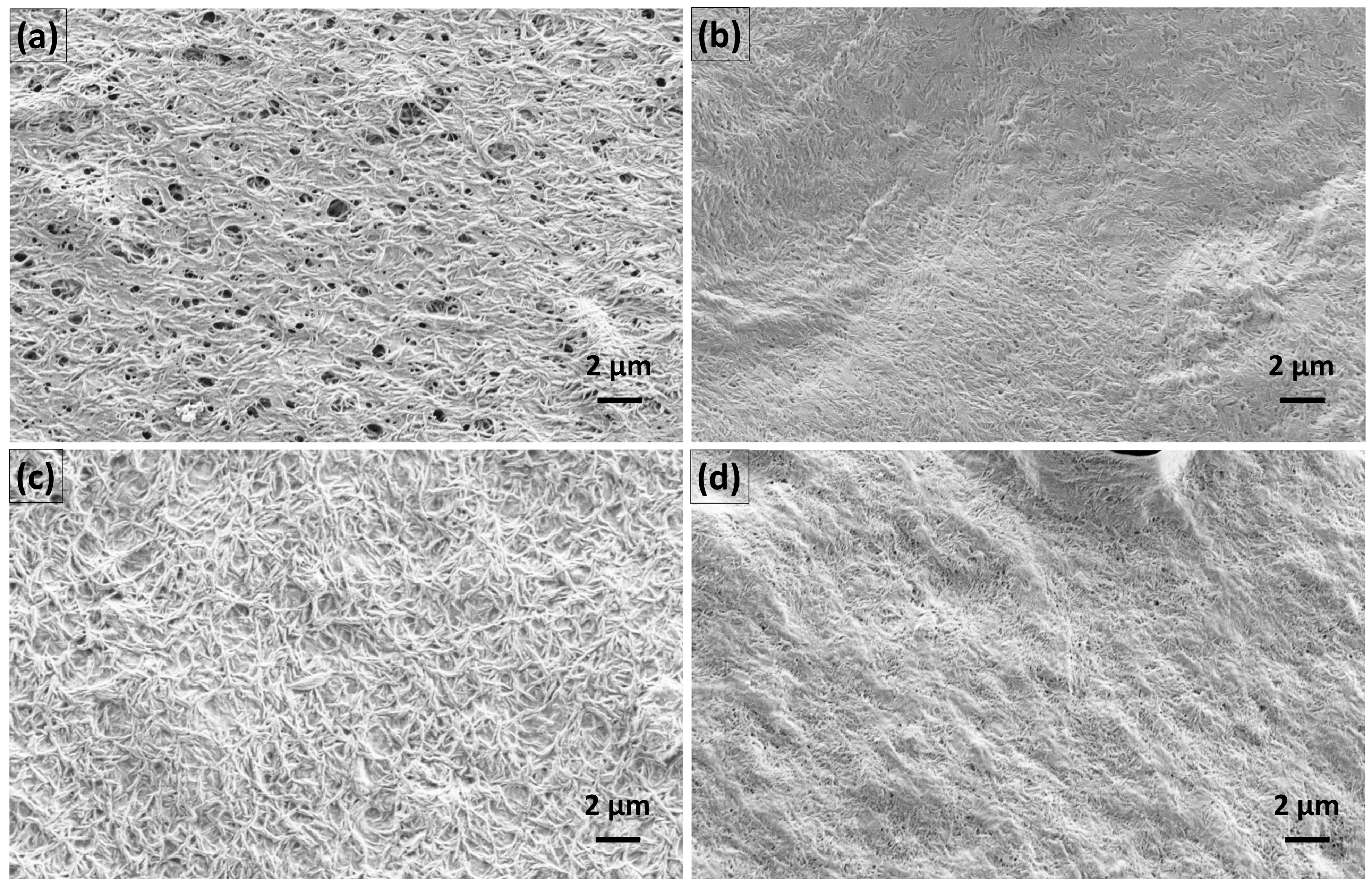 Pharmaceutics 15 01918 g015 Pharmaceutics 15 01918 g015