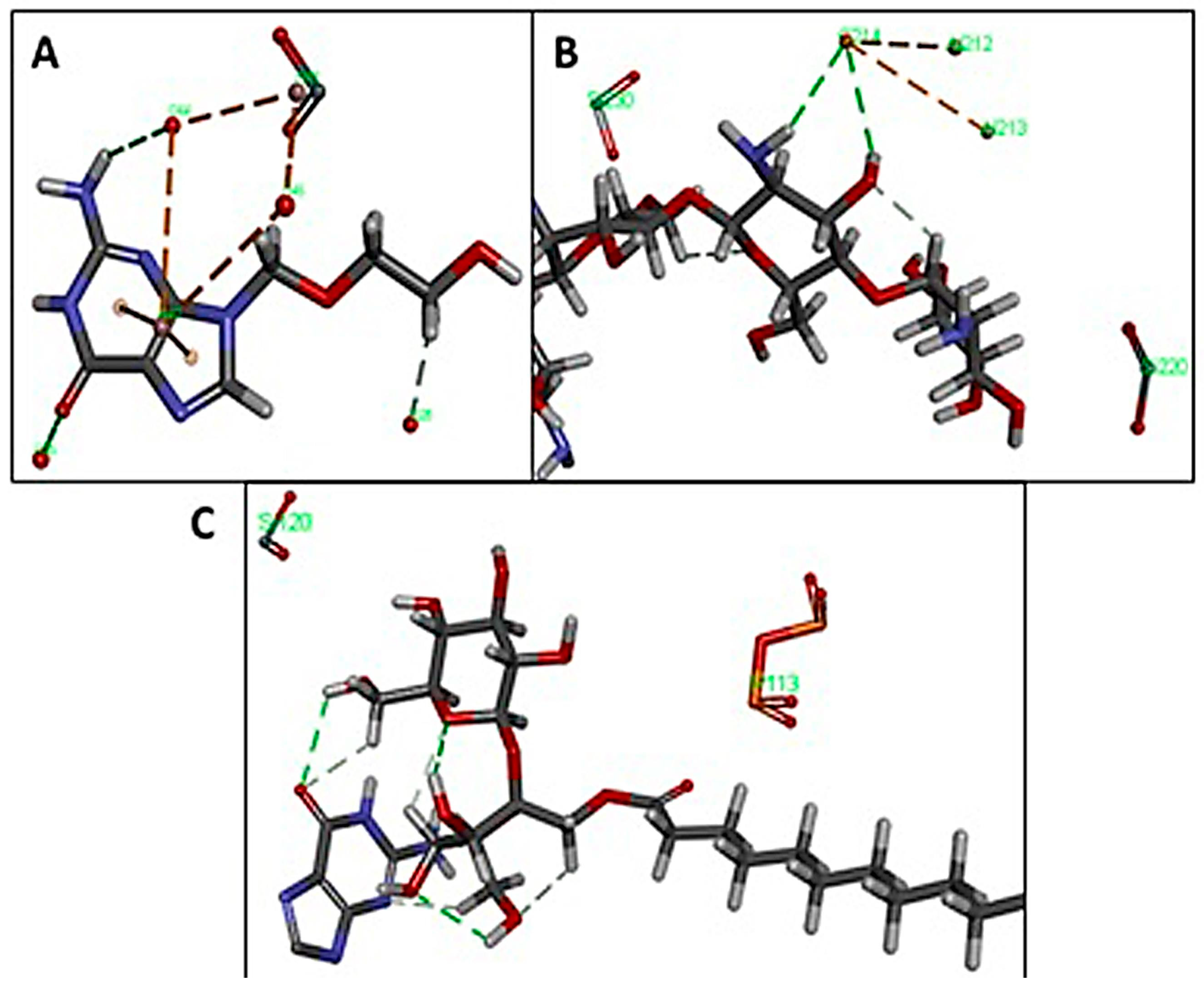 Pharmaceutics 15 01919 g009 Pharmaceutics 15 01919 g009
